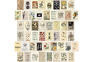 Vintage Wall Collage Kit Aesthetic Pictures