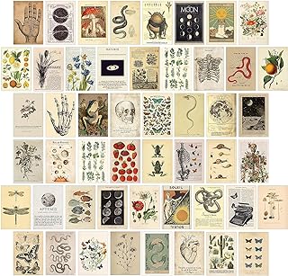 KOSKIMER 50PCS Vintage Wall Collage Kit Aesthetic Pictures, Posters, Cot...