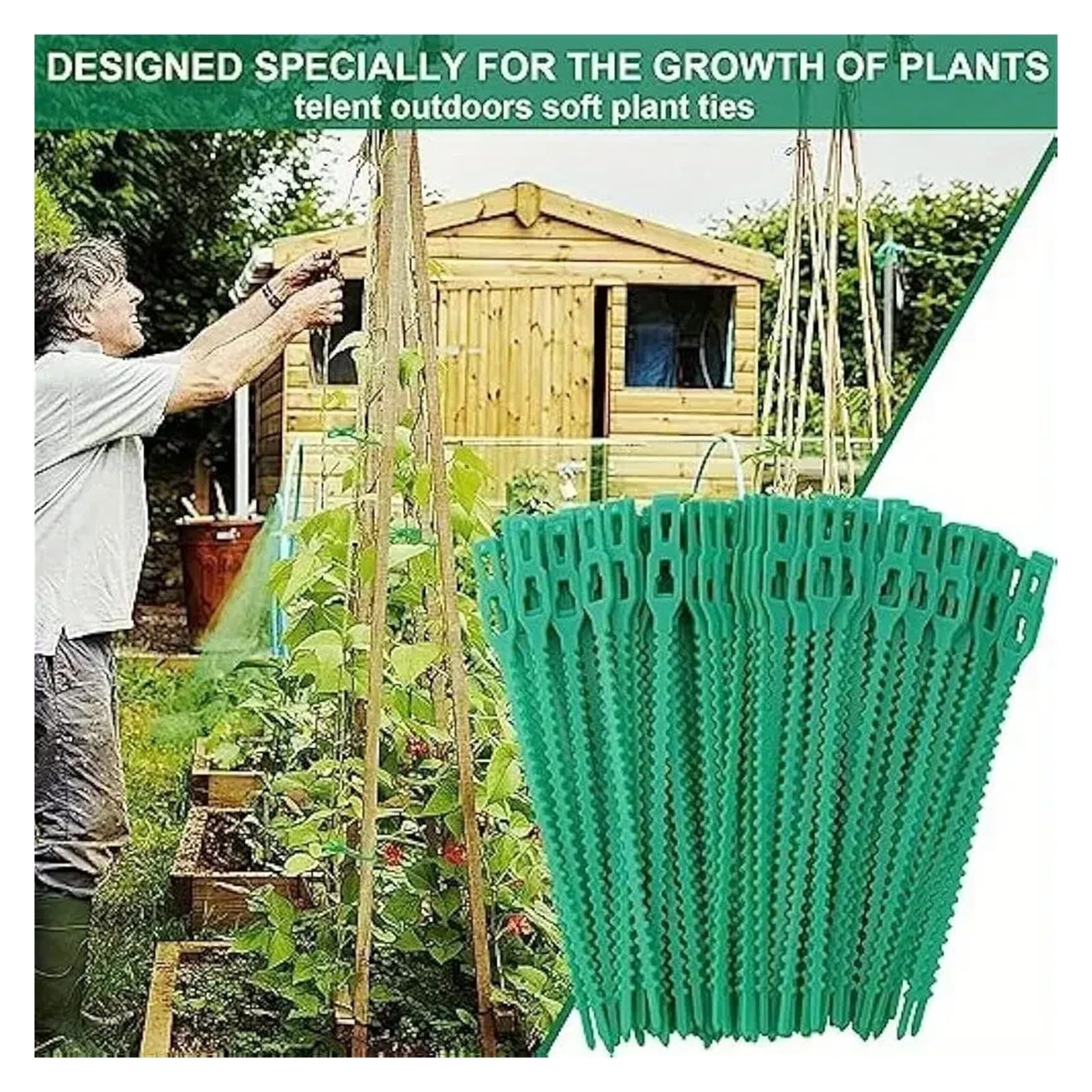Plant Vine Tree Shrubs Support Fastener Locking
