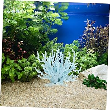 飾りサンゴ Amazon.co.jp: PATKAW 水族館造園サンゴ 水槽 サンゴ