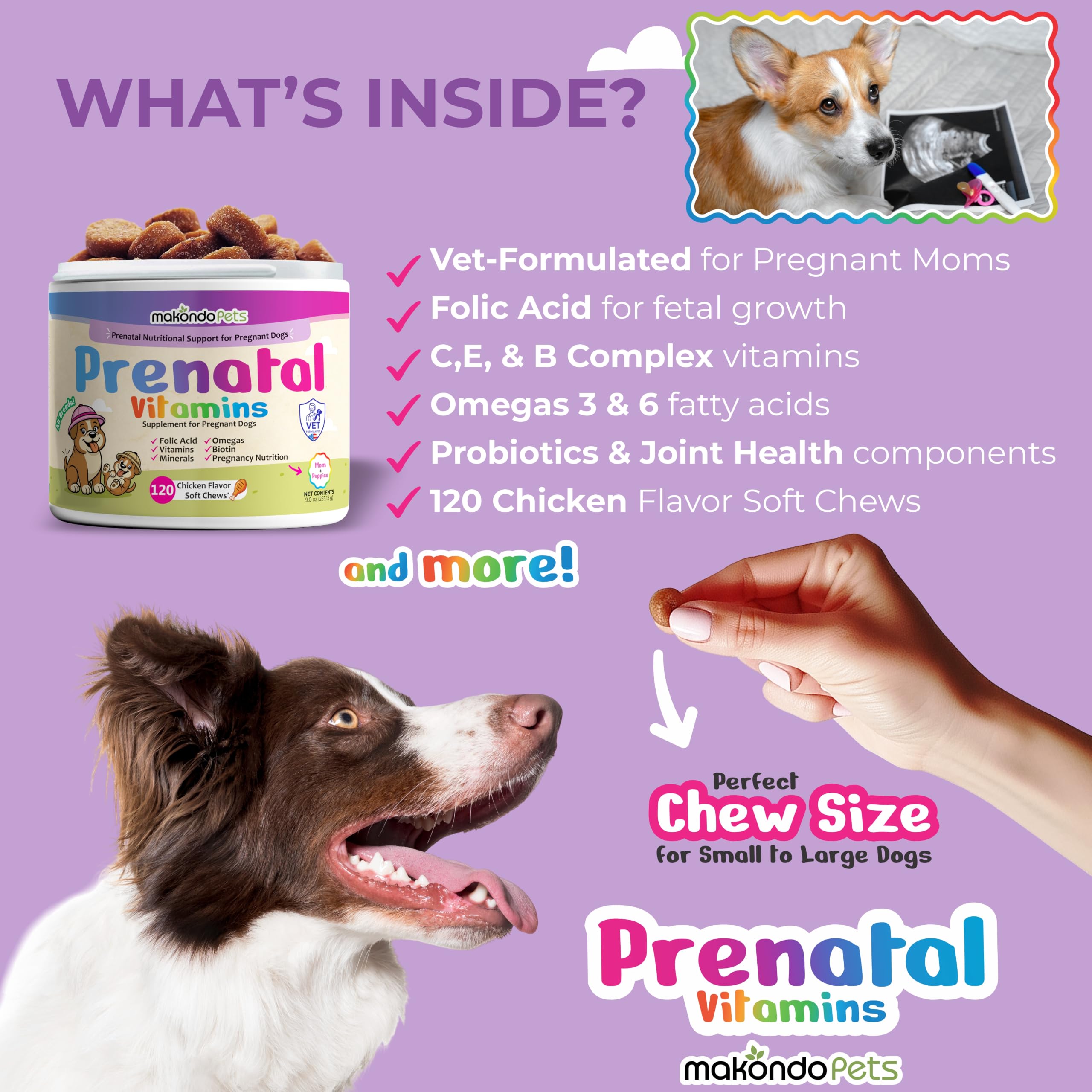 Dog Prenatal Vitamins, 120 Soft Chews Multivitamin, Mom & Puppy Vitamins — Amazon image 6