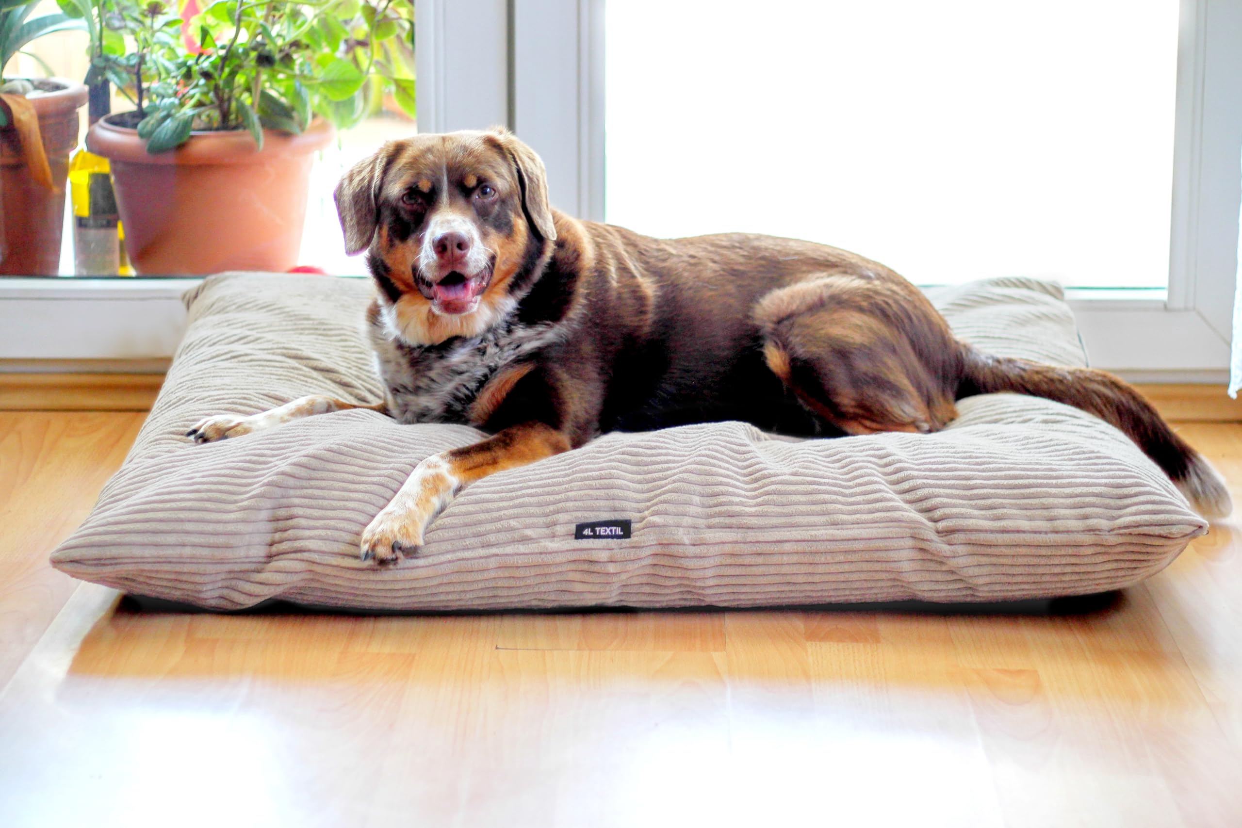 Maran Orthopädisches Hundebett – Flauschiges, Waschbares Bett Für Mittlere Bis Große Hunde, Mit Abnehmbarem Bezug