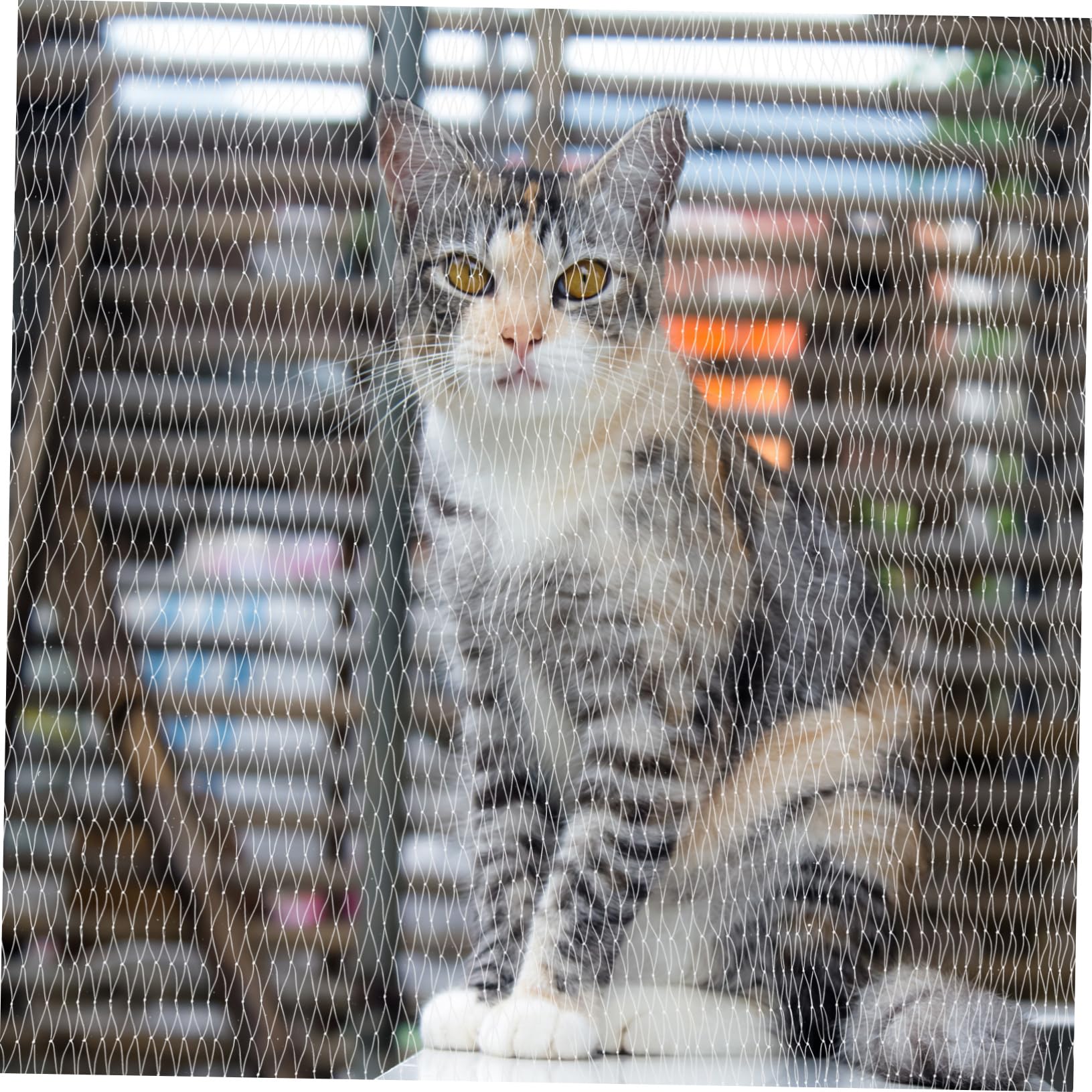 Sosoport Schutznetz für Balkon Fenster Terrasse ohne Bohren Robustes Nylon Sichere Umgebung für Katzen und Hunde Absturzsicherung