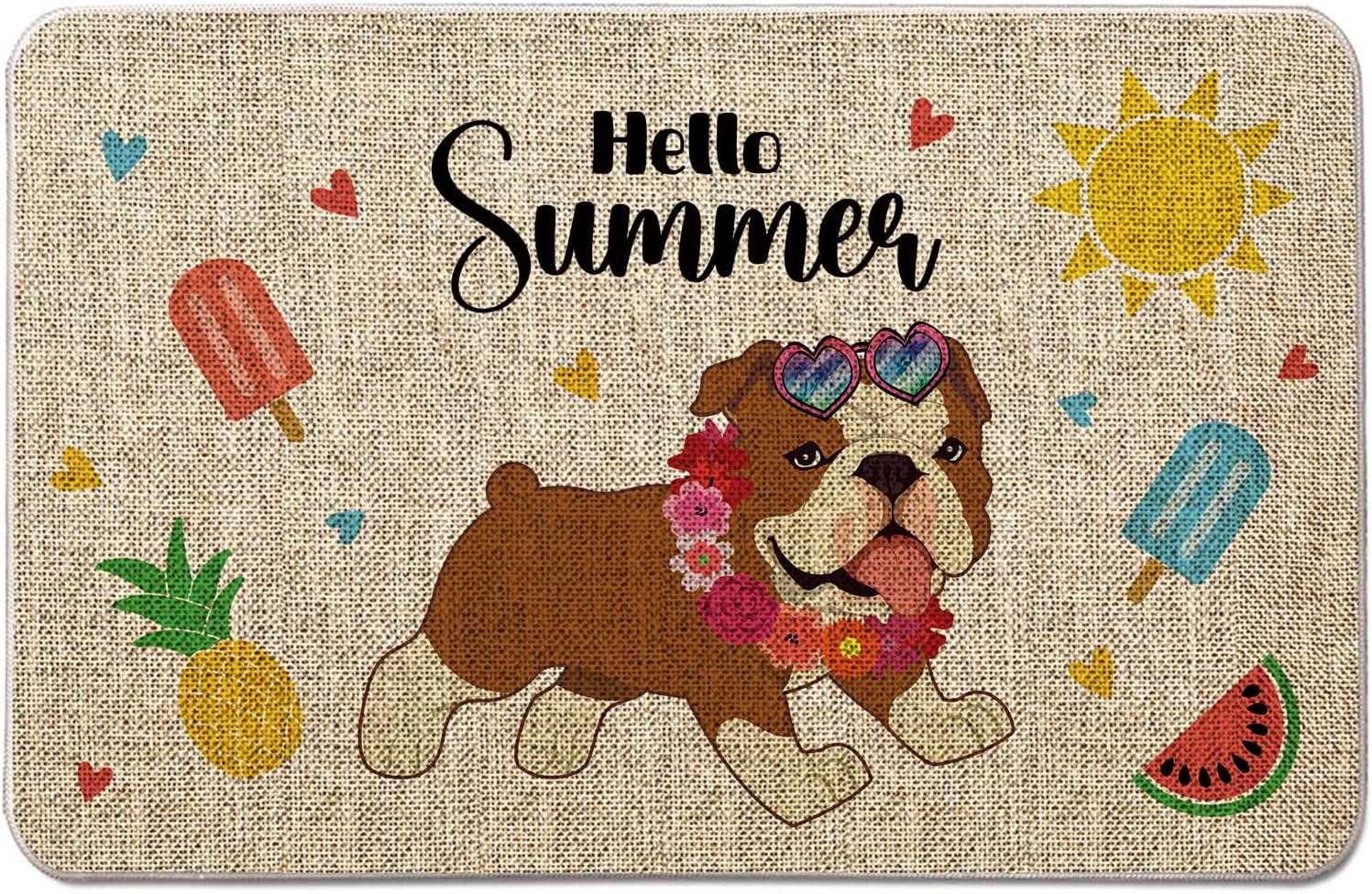 Summer Door Mat Dachshund Welcome Mat Outdoor Summer Dog Entrance Rug Farmhouse Home Kitchen Floor Front Doormats 17 x 27 Inch