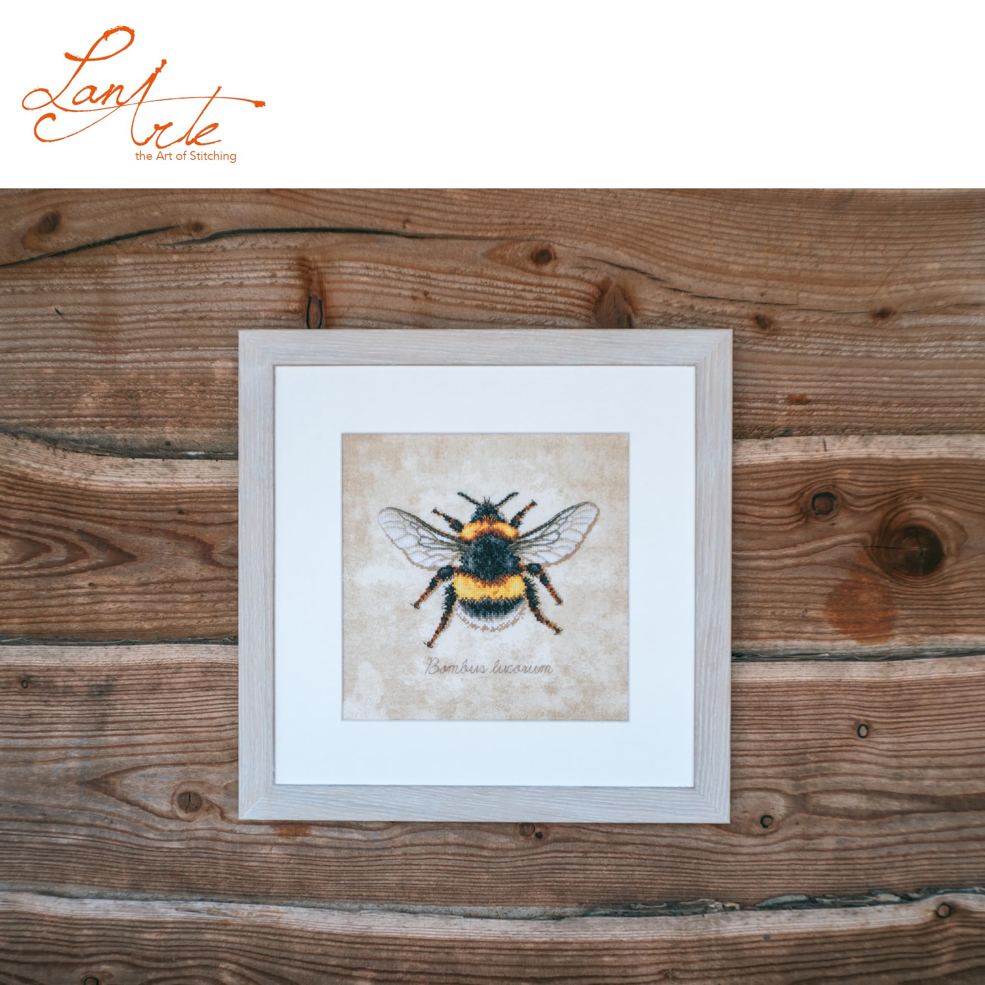 LANARTE Haft Krzyżykowy Liczony Zestaw Obraz do Haftu BOMBUS LUCORUM Zrób to Sam Zestaw Kreatywny dla Dorosłych Rękodzieło Artystyczne 21 x 21 cm Dekoracja Ścienna DIY Cross Stitch Kit