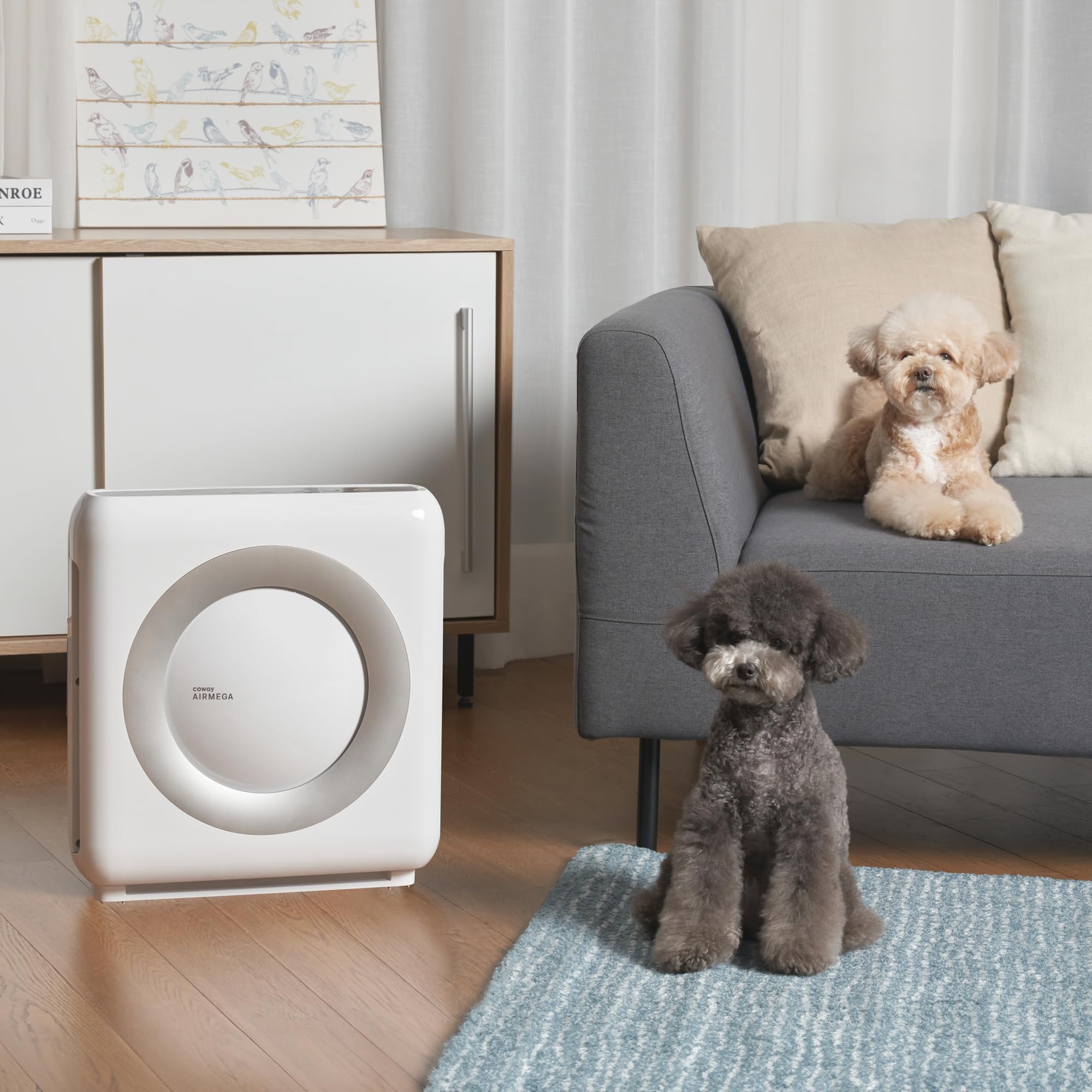 COWAY Purificador de Aire, Filtro HEPA HyperCaptive 99,999%, CADR 421 m³/h, Polvo Sahariano, Calima, Polen, Alergias, Mascotas, Modo Eco, Wirecutter Top Pick 10 Años, AIRMEGA Mighty AP-1512HH, Blanco