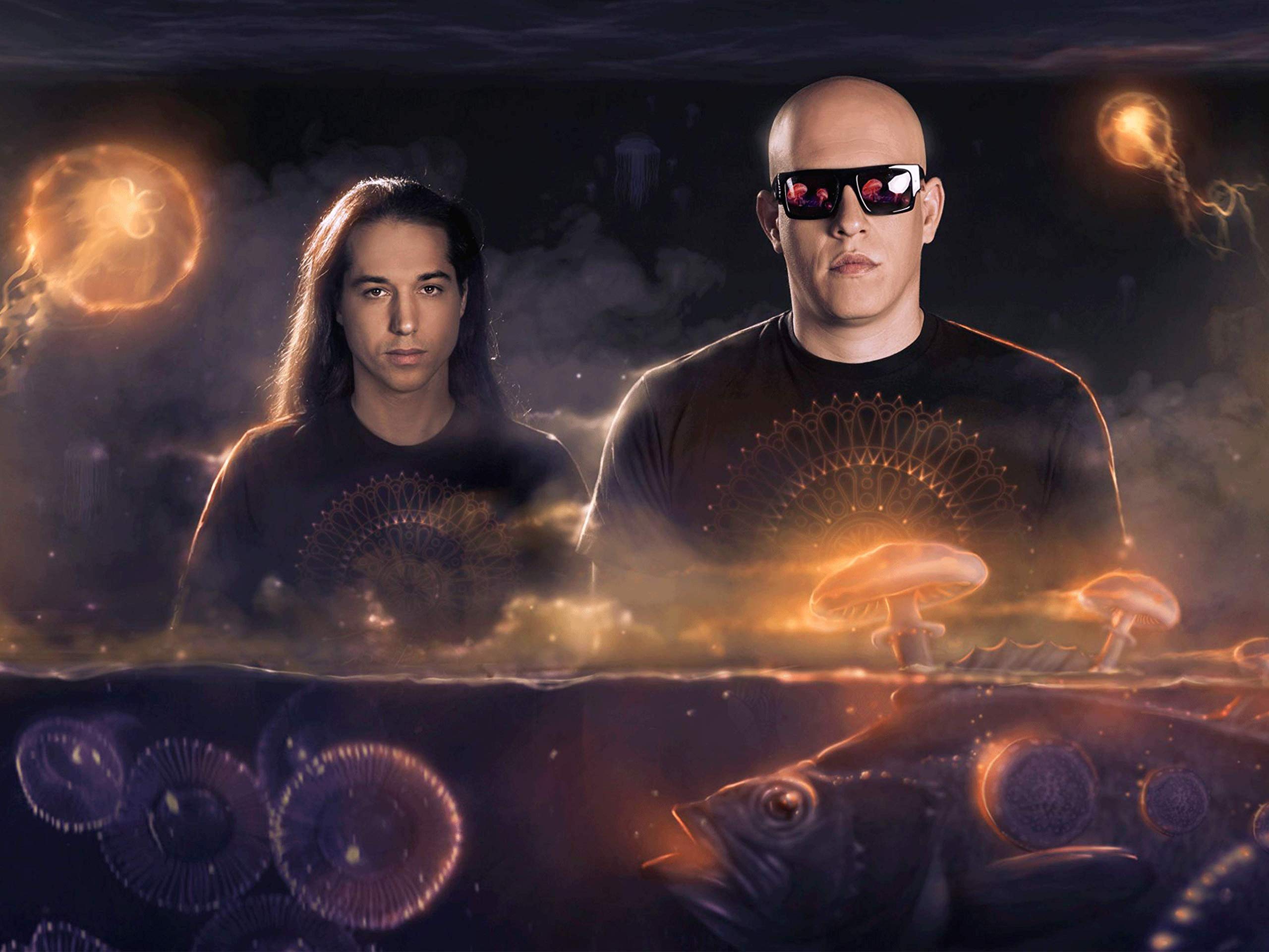 Infected Mushroom
