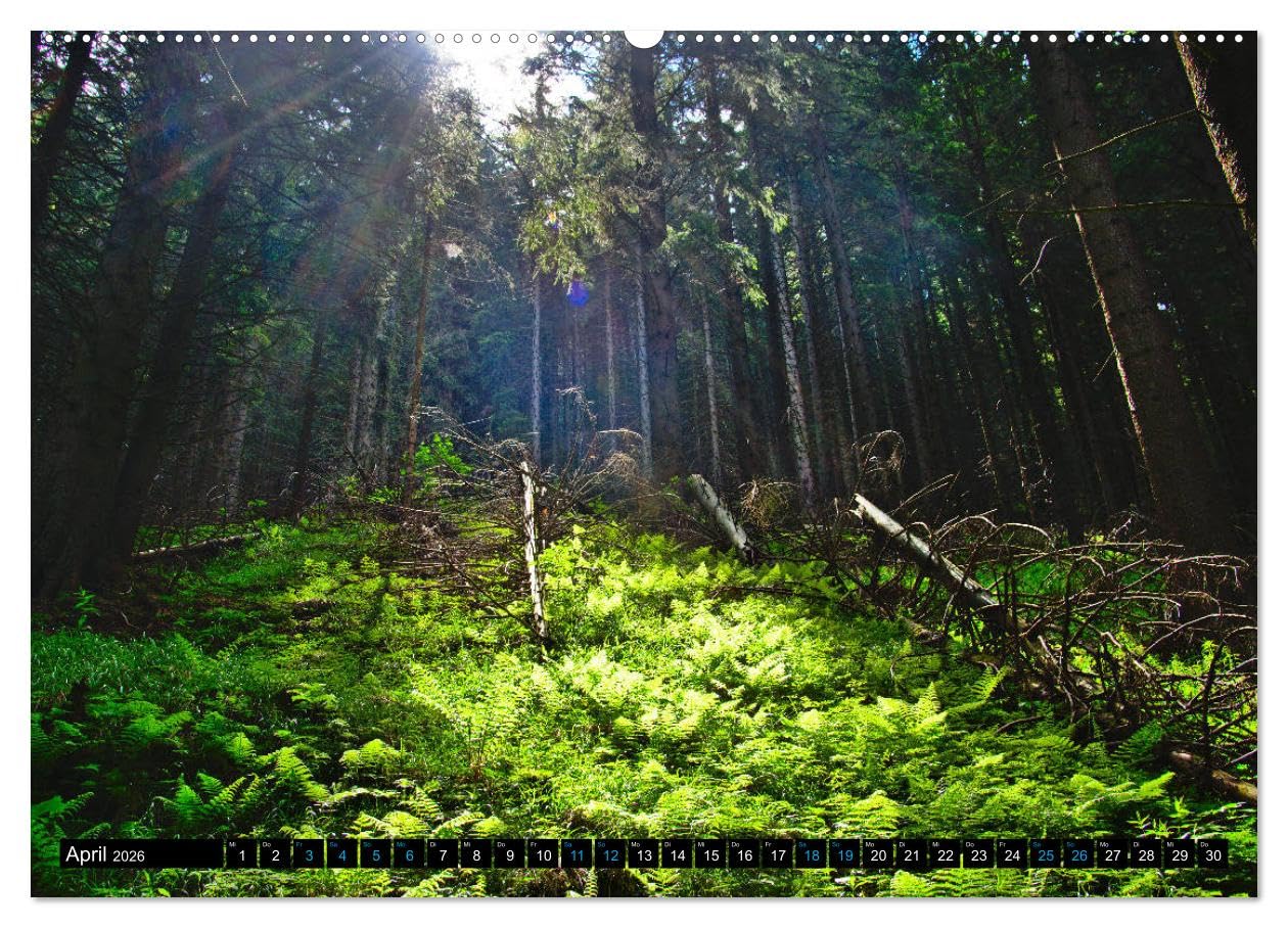 Slowakei - Abseits der Hohen Tatra (Wandkalender 2026 DIN A2 quer), CALVENDO Monatskalender: Eindrücke aus dem Burgenland Europas (CALVENDO Natur)