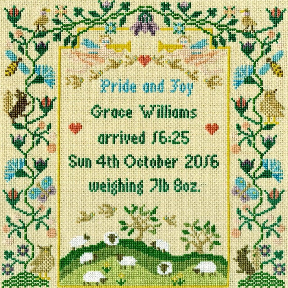 Bothy Threads Pride and Joy Cross Stitch Kit