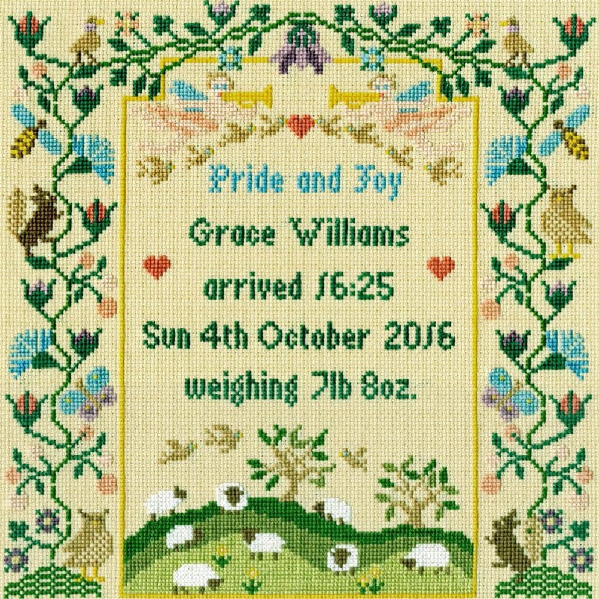 Bothy Threads counted cross stitch Kit ""Pride and Joy"", 24x25cm, XS12