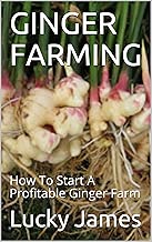 GINGER FARMING: How To Start A Profitable Ginger Farm
