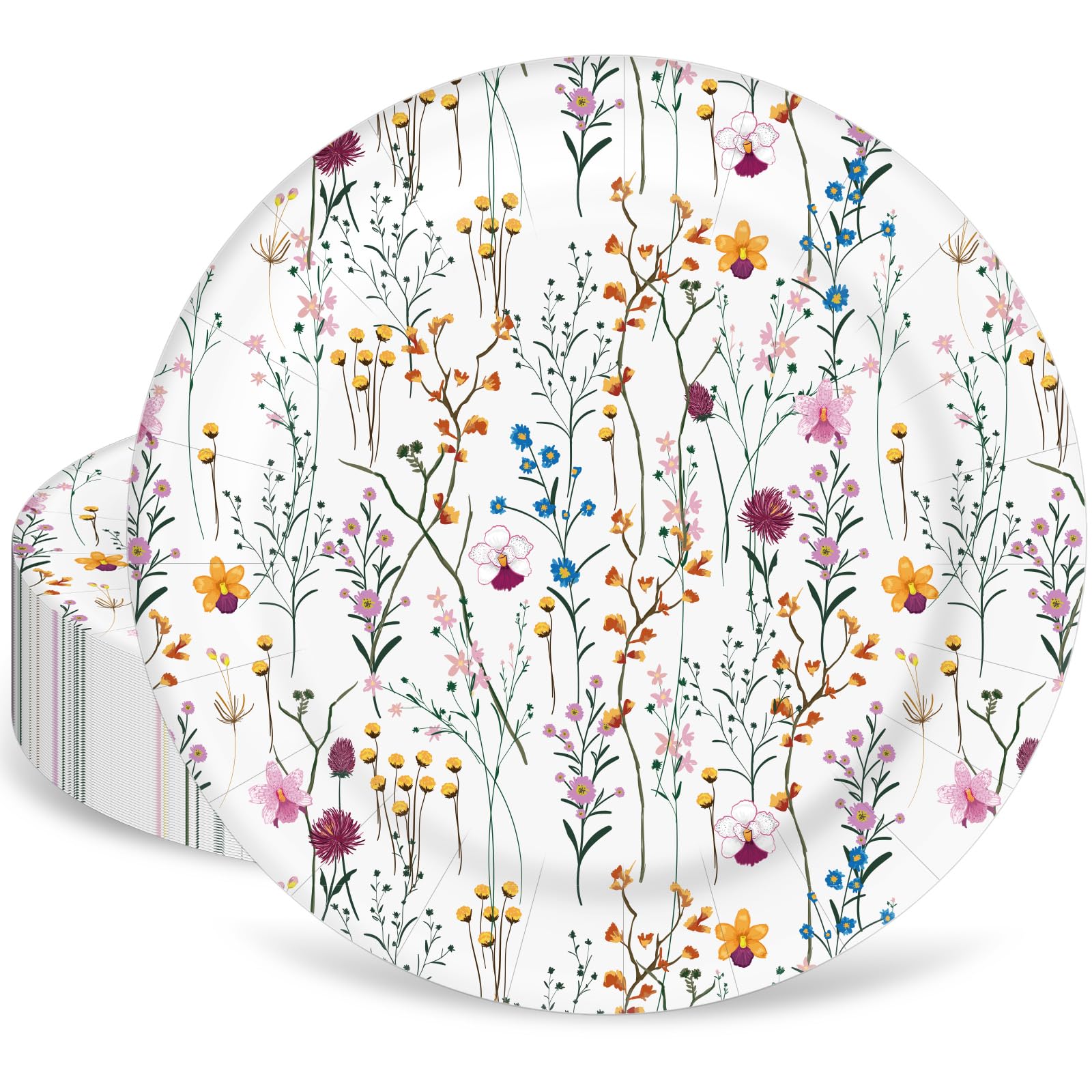 Assiettes en carton pour pique-nique mariage et anniversaire 40 pièces
