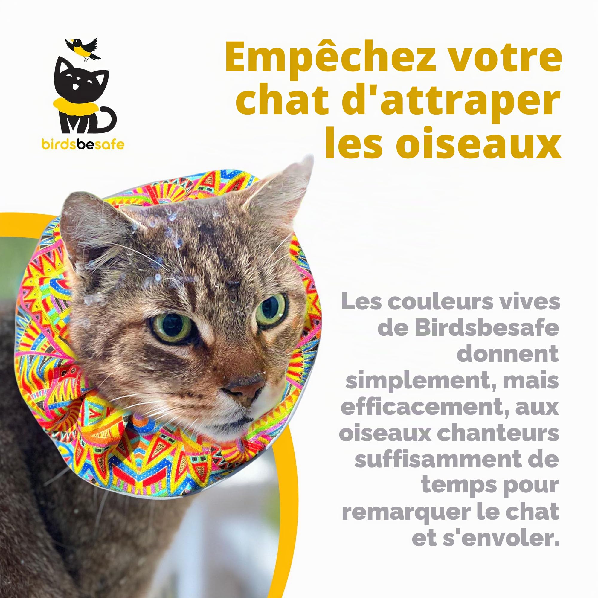 Birdsbesafe Collier pour Chat pour Oiseaux – Collier d'avertissement pour Chat, scientifiquement prouvé pour Aider à empêcher Votre Chat d'attraper des Oiseaux
