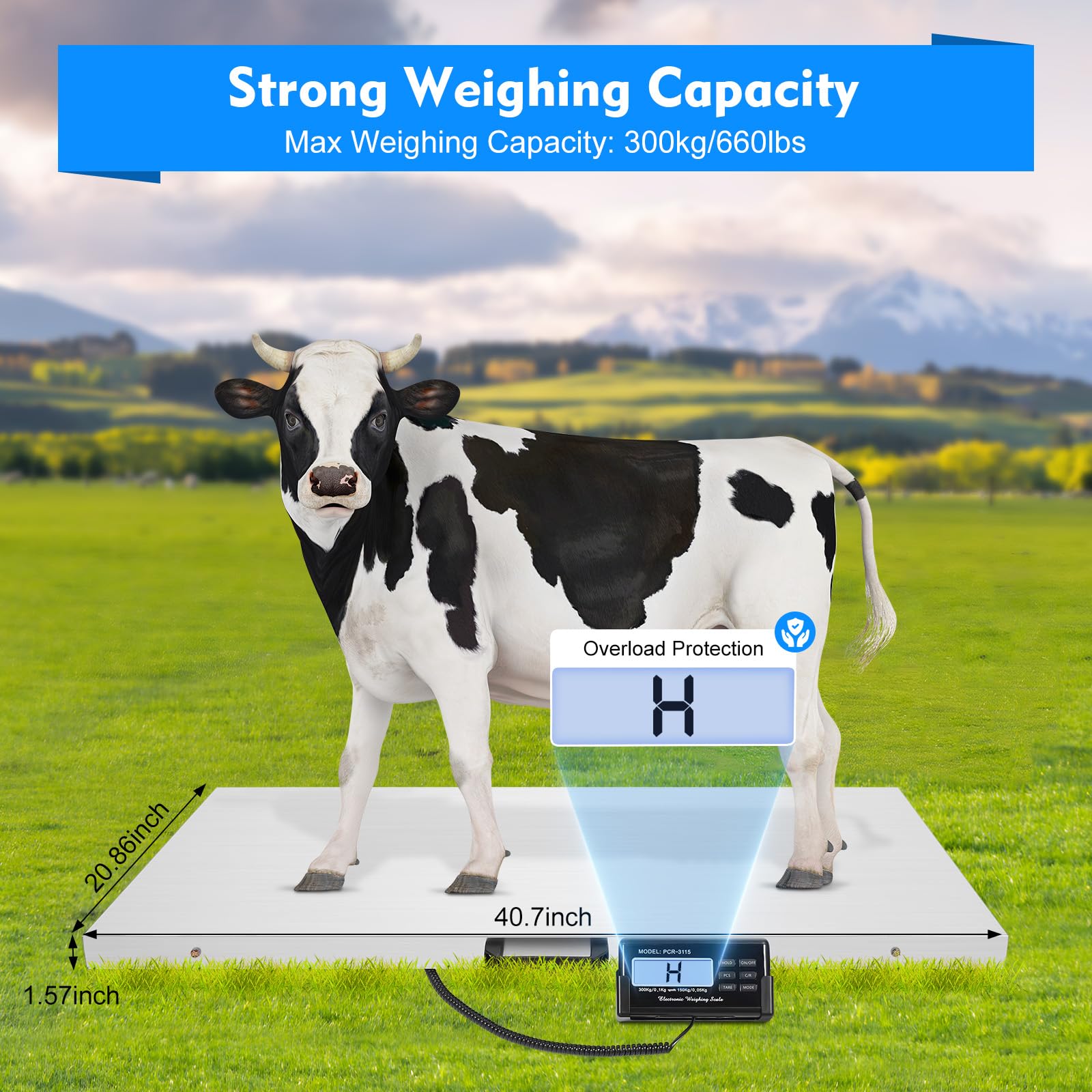 sjcdicnj 660 Pounds Veterinary Dog Scale with Stainless Steel Heavy Duty Platform and Rubber Mat for Dog Cat Pet Alpaca Llama Sheep Fish Vet 40.5x20.6Inch