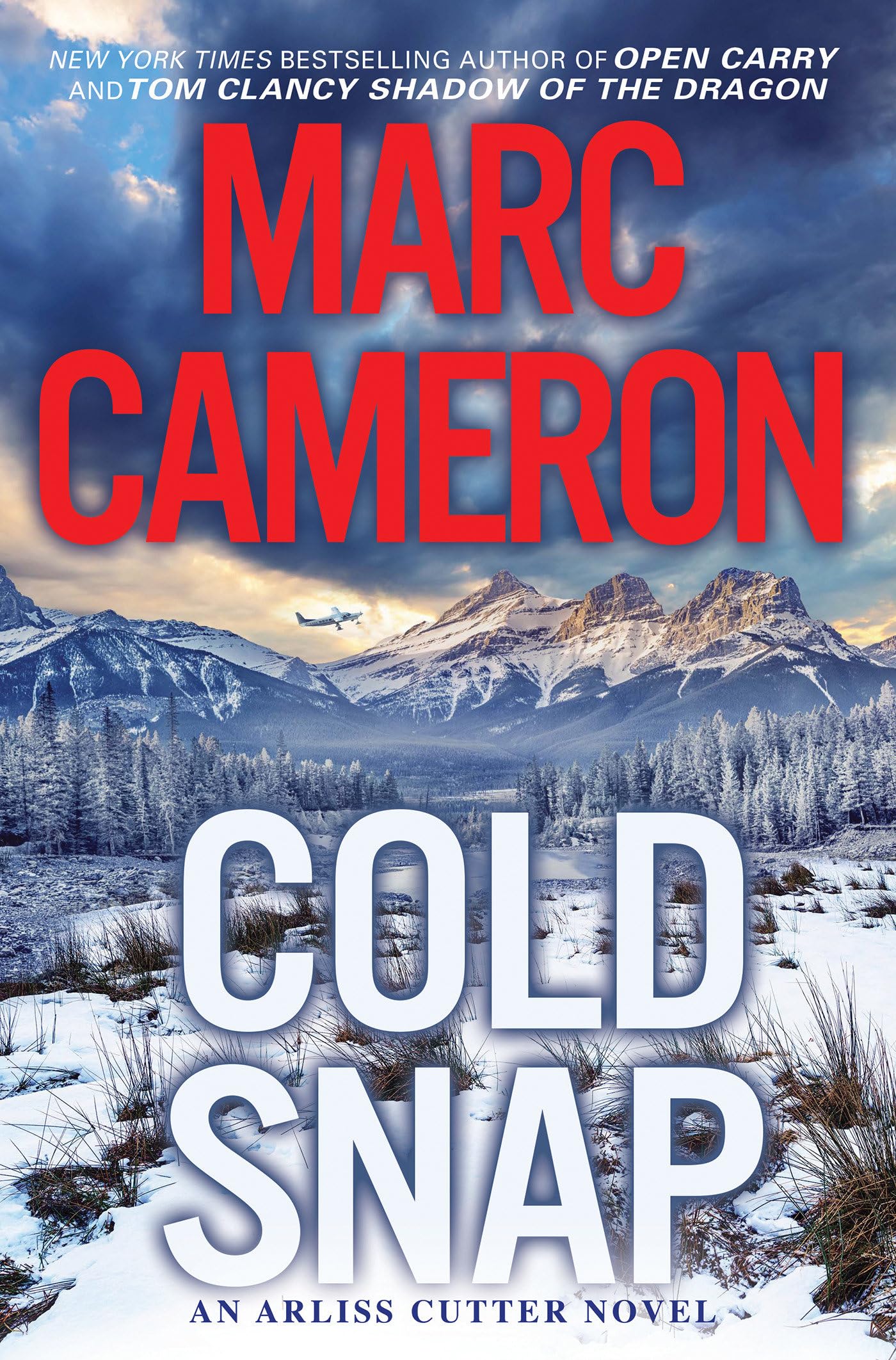 Cold Snap (An Arliss Cutter Novel): An Action Packed Novel of Suspense