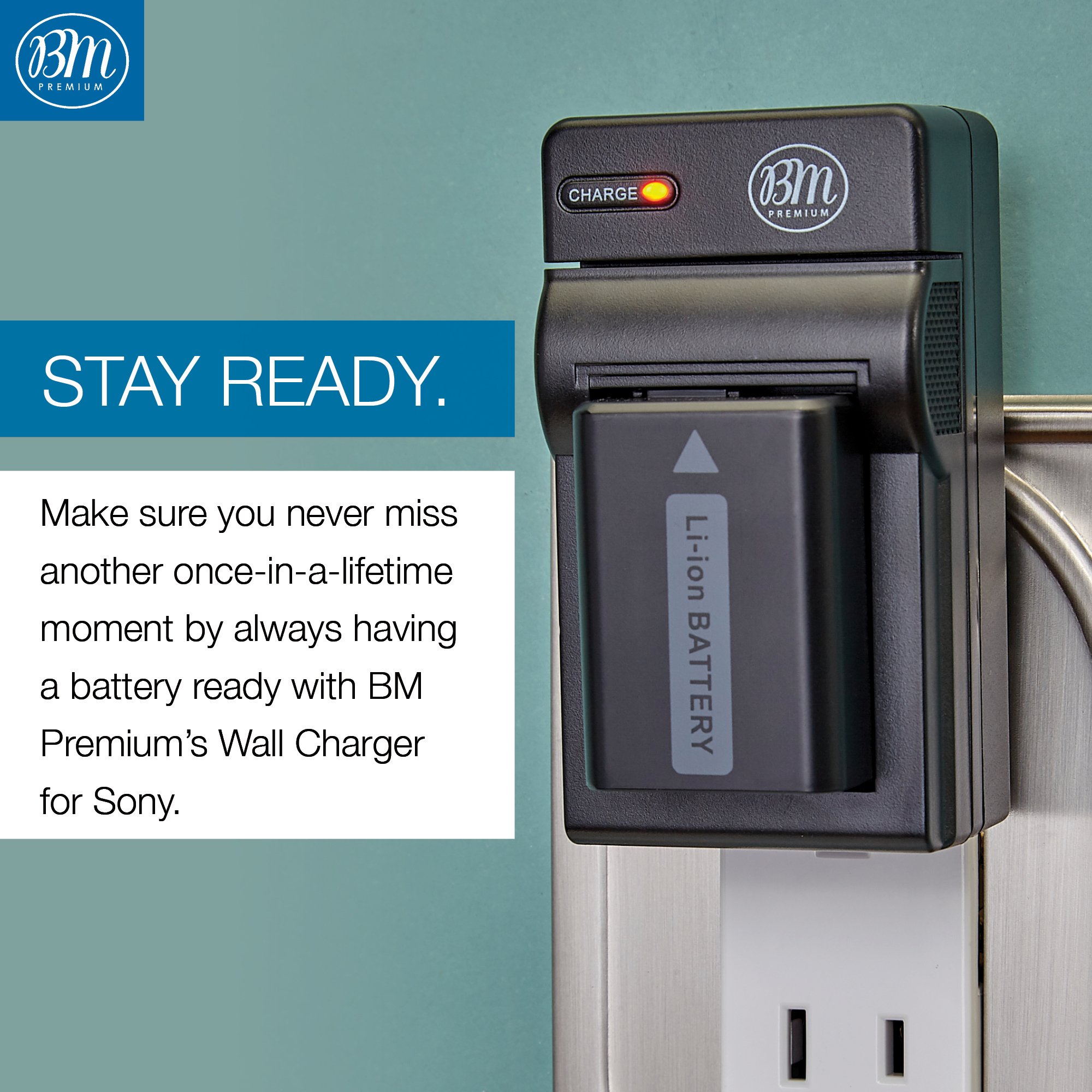 Amazon.com : BM Premium NP-FW50 Battery and Charger for Sony A6100