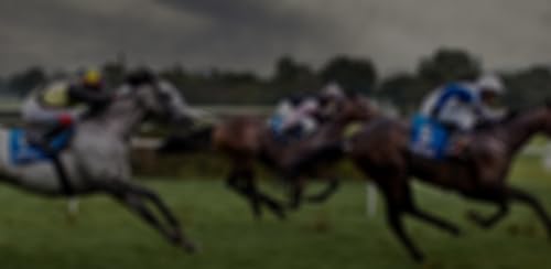 Betfan Free Sport Betting Tips