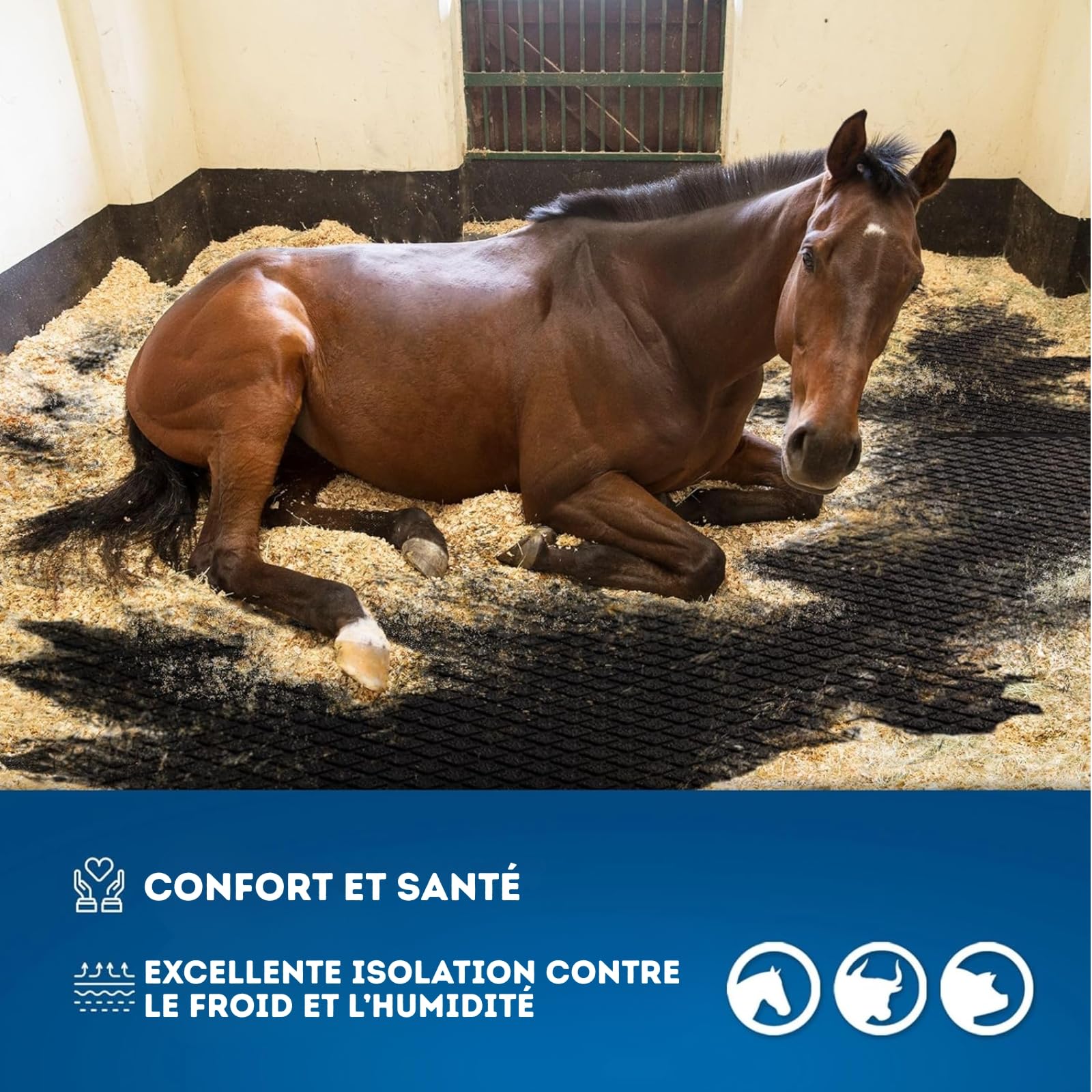 KARAT Tapis d'écurie en Caoutchouc Diamond Top Tapis de Sol pour l'élevage - Antidérapant & résistant - Surface soulageant la Pression et ménageant Les articulations (180 x 120 cm)