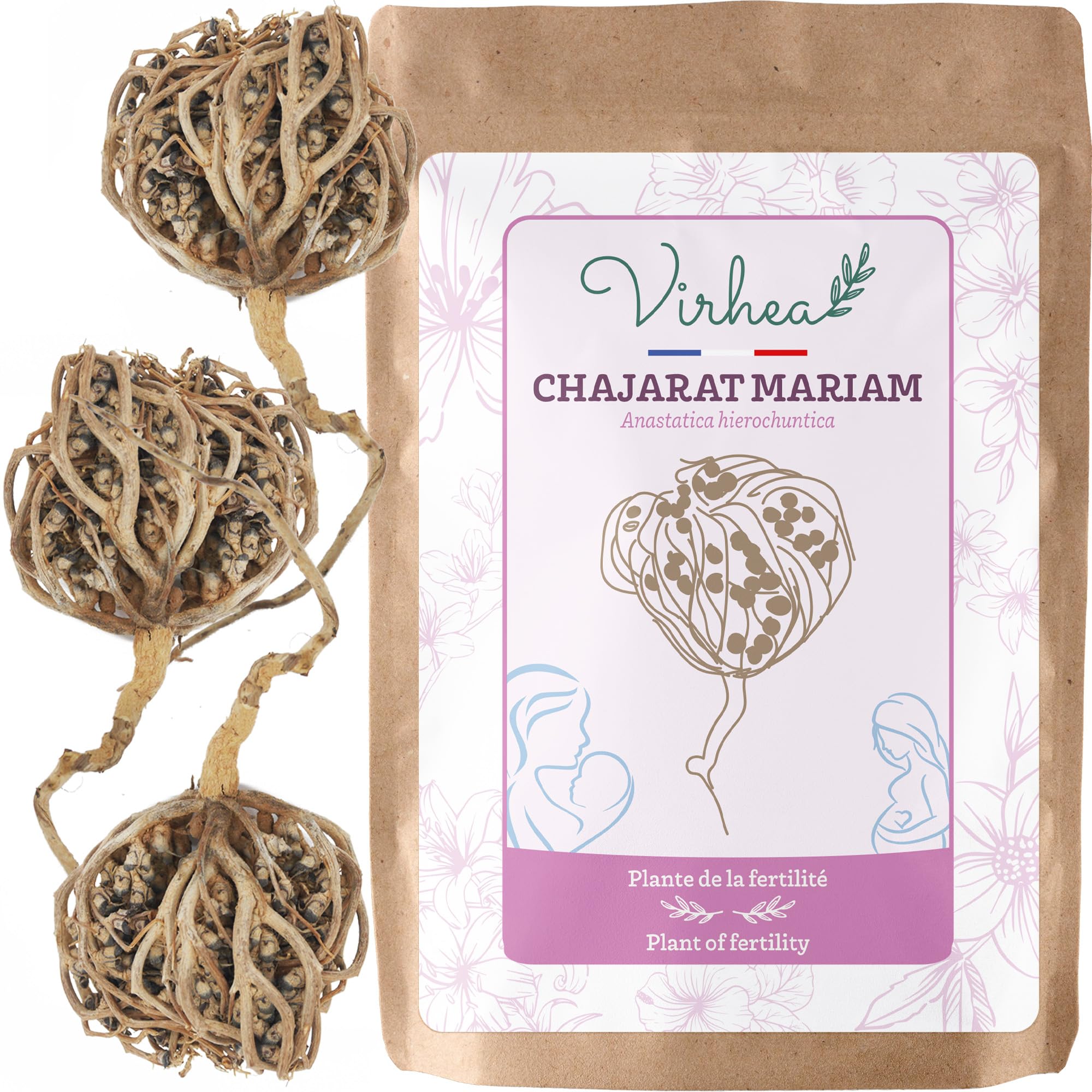 Rose Of Jericho Chajarat Mariam X3 Fertility Promoting Plant