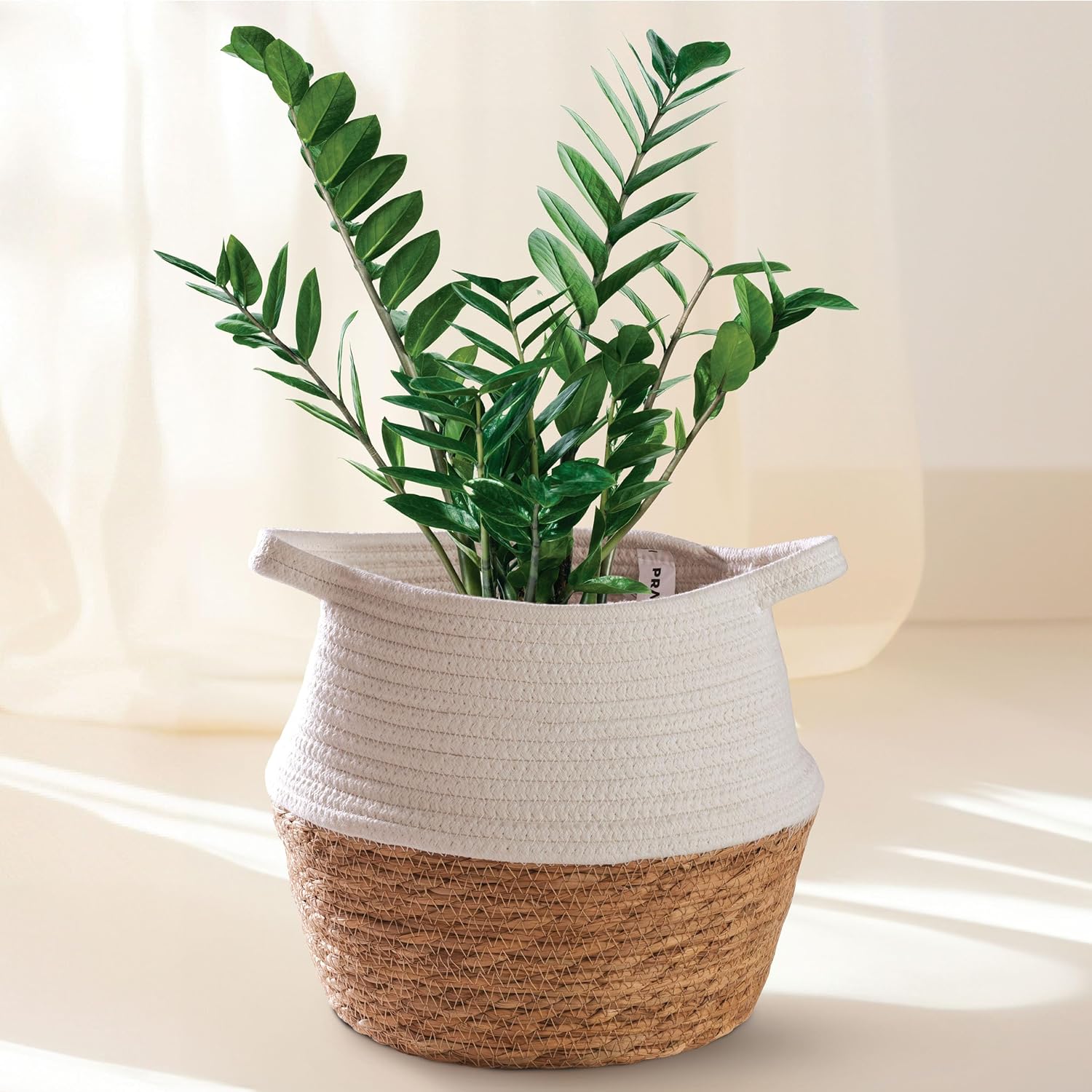 Vaso Per Piante Intrecciato In Cotone - Cesto Decorativo 30cm Per Interni, Pieghevole