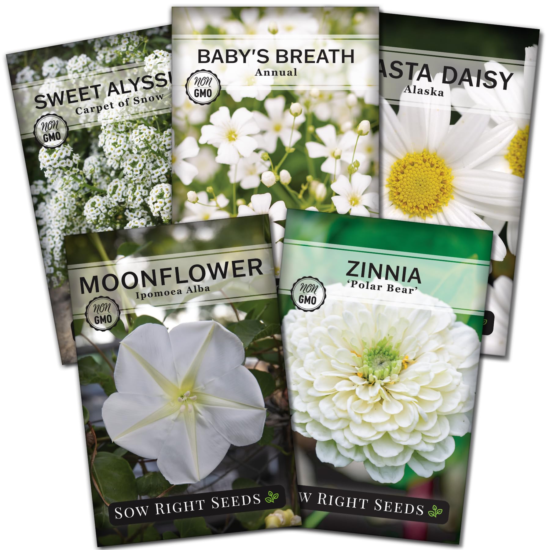 Amazon.com: Sow Right Seeds - White Flower Seed Collection for