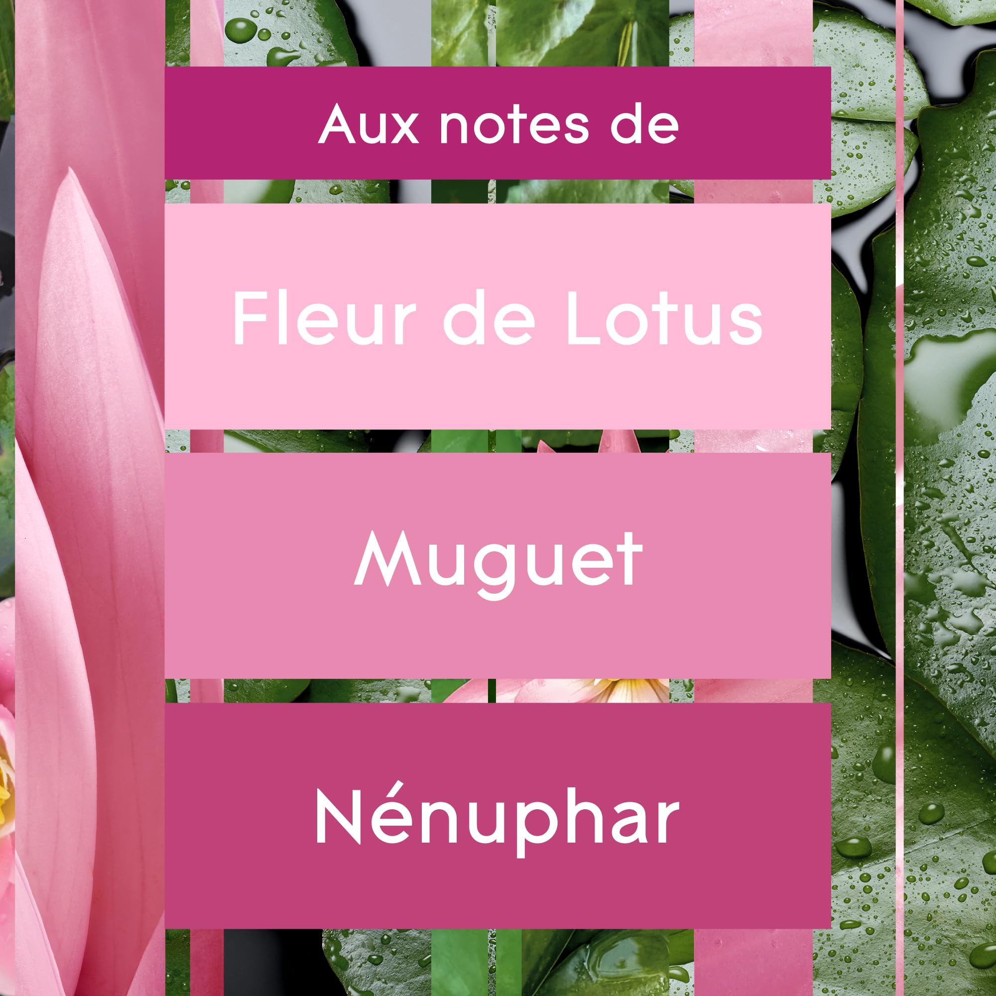 Glade Sense et Spray Recharge Diffuseur à Détection de Mouvement - Infusé Aux Huiles Essentielles - Jusqu'à 2 Mois de Parfum - Relaxing Zen - 1 Recharge