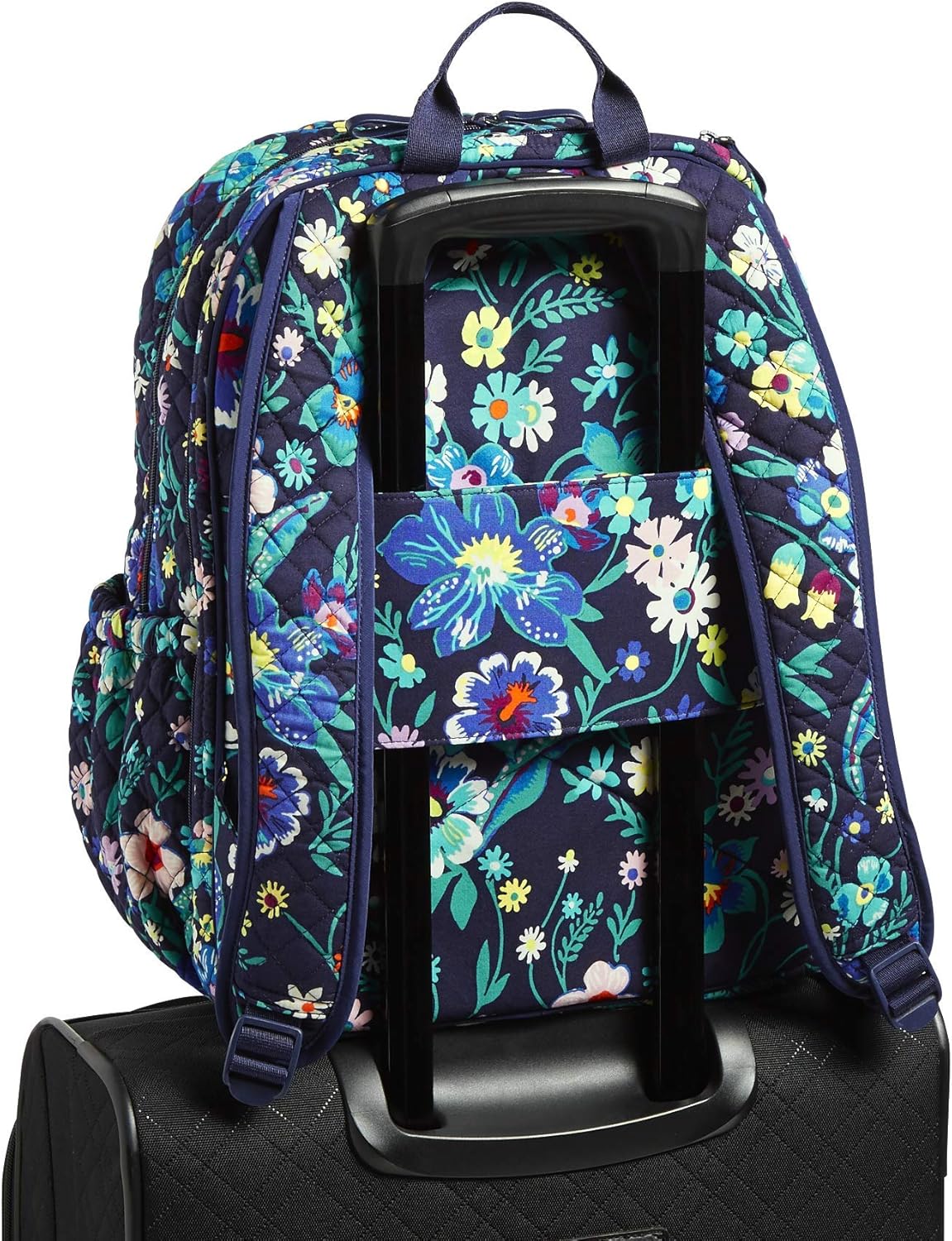 Vera Bradley Women's Cotton Campus Backpack, Moonlight Garden, One Size : Clothing, Shoes & Jewelry