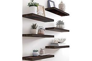 PHPH Floating Shelves for A Work of Art, Set of 6 17-Inch...