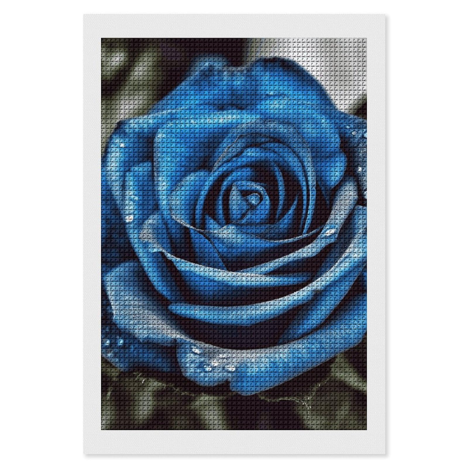 画材 BLUE ROSE Amazon.com: Blue Rose Diamond Art Kits for Adults Diamond Art