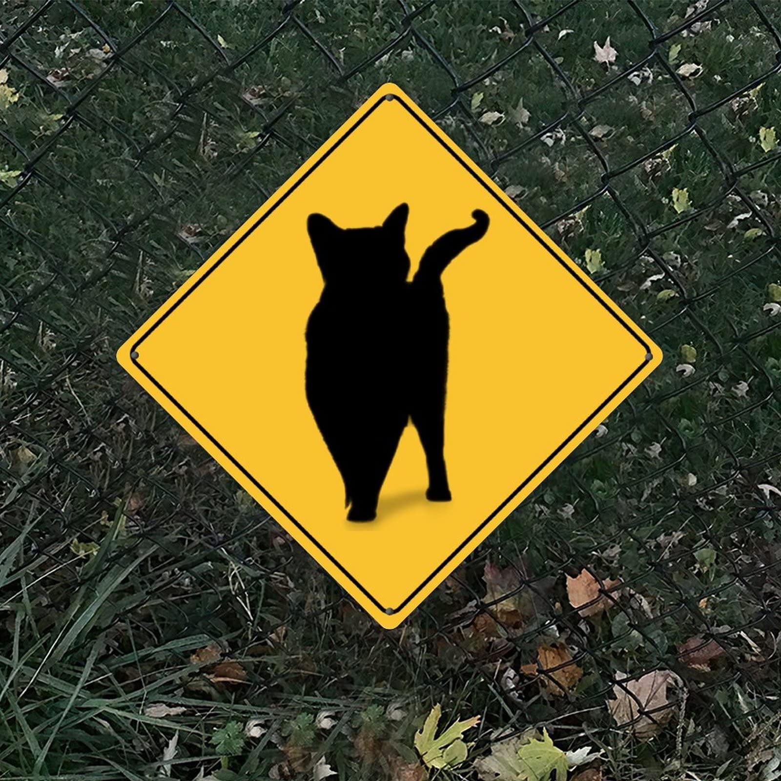 Metallschild 'Vorsicht Katze Kreuzung' – 30x30 Cm, Aluminium, Wetterfest, Mit Bohrungen Zur Befestigung