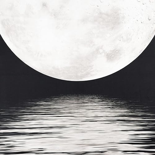 Miniatura 5 de LB Tapiz pequeño de luna llena creciente para colgar en la pared, tapiz de pared de cielo nocturno estrellado, fantasía 3D, hippie, blanco y negro,