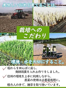 新米長野県産　特別栽培米　はざ掛けミルキークイーン　玄米10Ｋｇ（精米サービス） 楽天市場】ミルキークイーン 玄米 5kg 10kg 20kg 30kg 長野県産