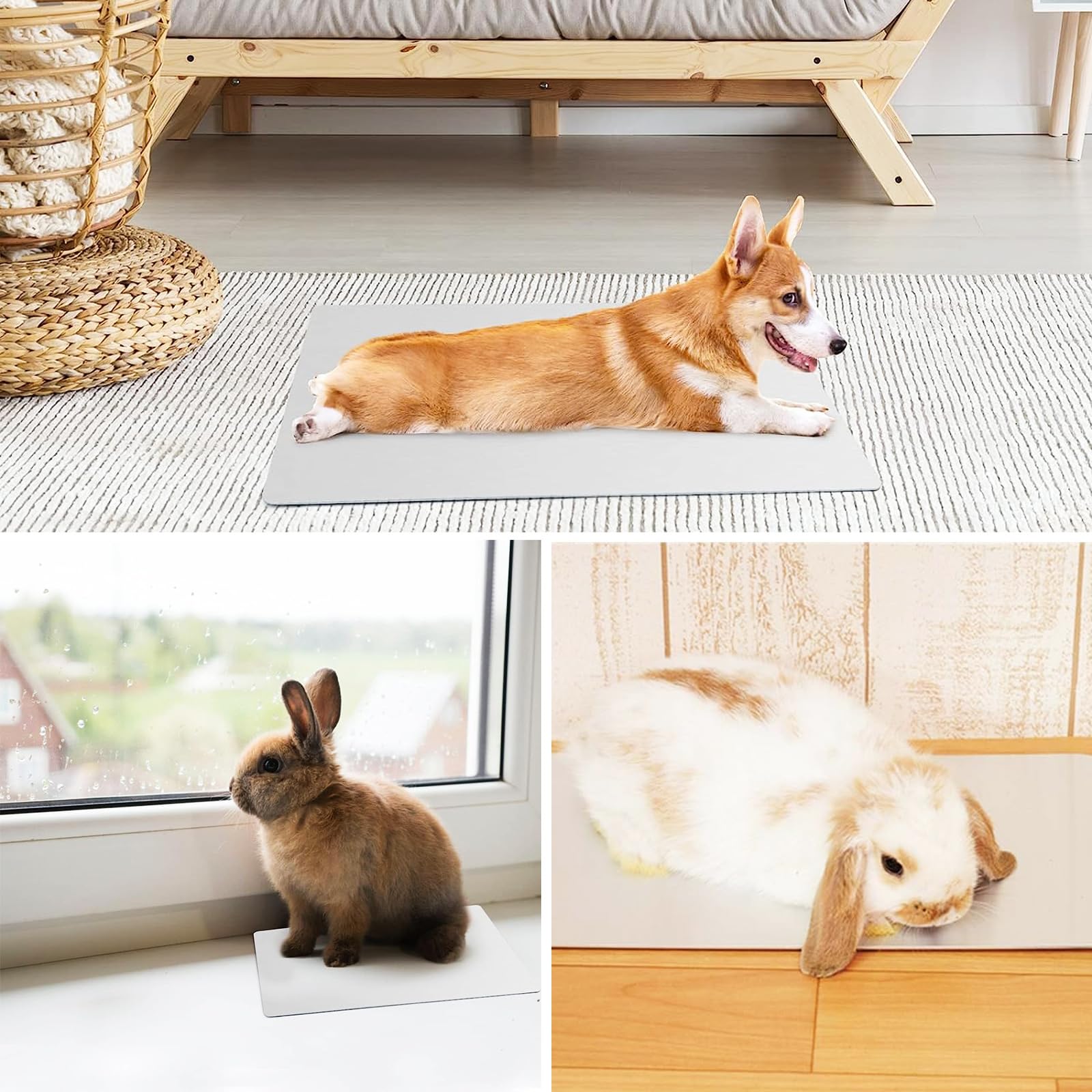 Amazon | SAEYZ 犬ひんやりアルミマット 涼感プレート 猫クールボード