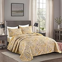 Vista 97 de DJY Juego de edredón de cachemira marrón, tamaño Queen, juego de colcha bohemia de 3 piezas, ropa de cama de microfibra suave y ligera con estampado
