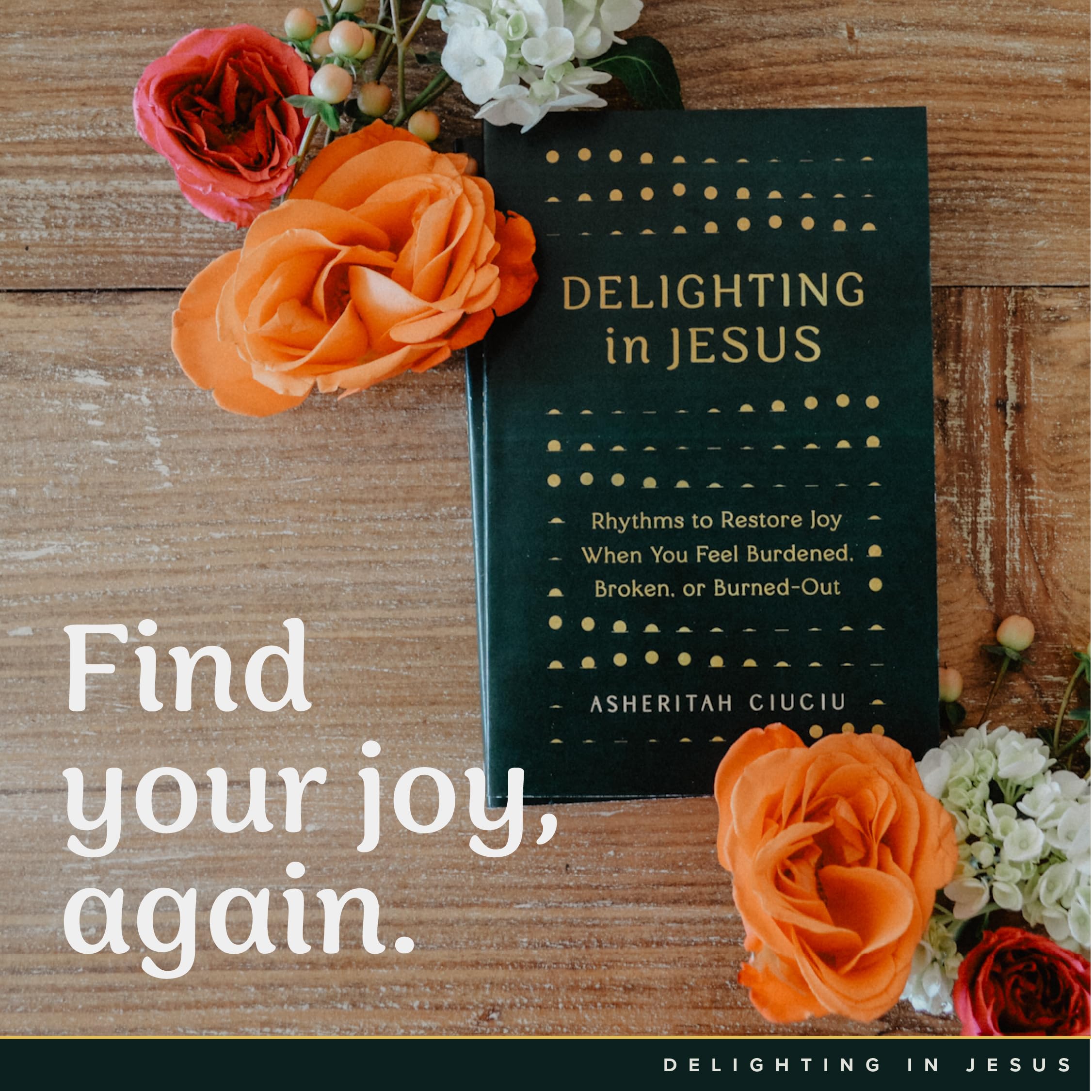 Delighting in Jesus: Rhythms to Restore Joy When You Feel Burdened, Broken, or Burned-Out - PT04
