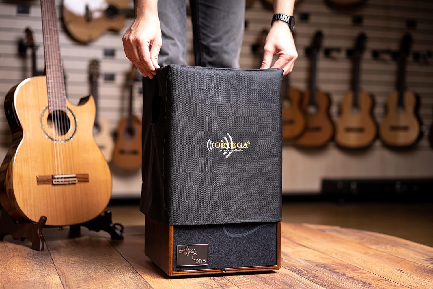 Ortega Guitars 2-Channel 100W Acoustic Guitar Combo Amp, Walnut (Cone-WND-US)