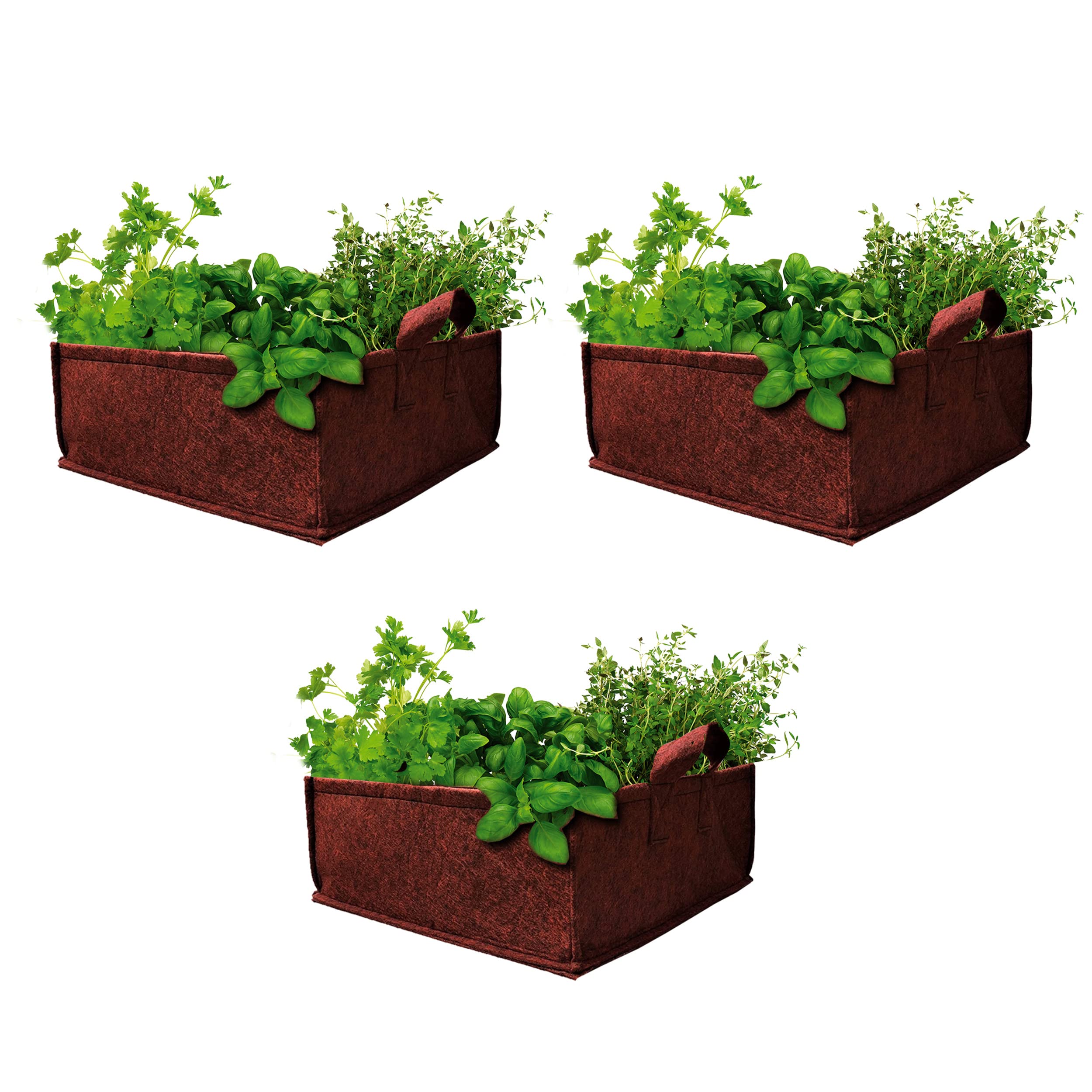 See full amazon price history chart for Bombay Greens ; Sow, Grow, Eat, Repeat Geo Fabric Grow Bags Premium 350 Gsm Bags For Terrace Kitchen Gardening - Set Of 3 18X7.5X5.5 Inches - Red Bombay Greens ; Sow, Grow, Eat, Repeat Geo Fabric Grow Bags Premium 350 Gsm Bags For Terrace Kitchen Gardening - Set Of 3 18X7.5X5.5 Inches - Red (B097PBMK8N) Amazon Price History, Amazon Price Tracker