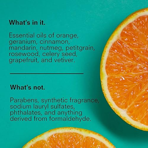 Miniatura 3 de Public Goods Acondicionador para mujeres y hombres  Acondicionador natural para proteger e hidratar el cabello seco  Fabricado con aceites