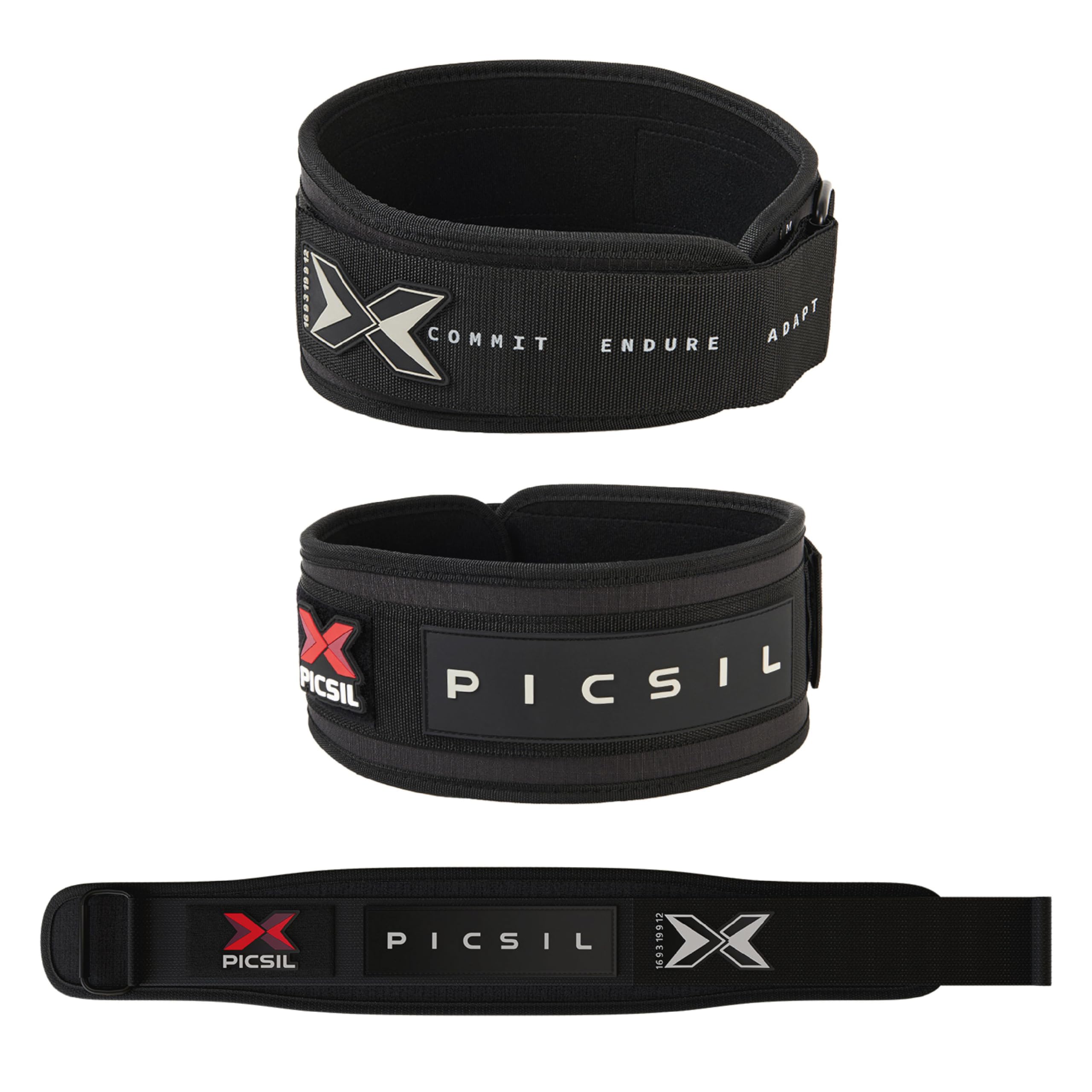 PICSIL