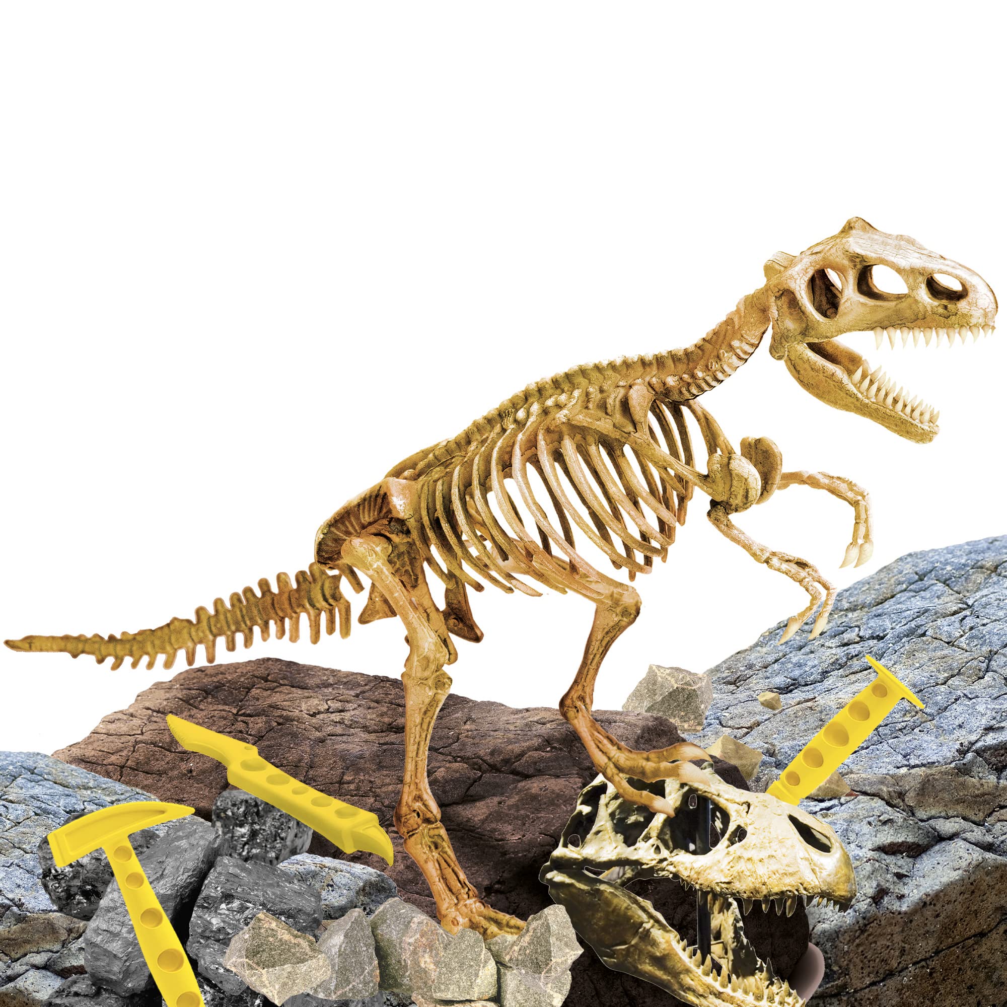 Amazon.com: Lisciani 81103 I'm A Genius Super Kit T-Rex