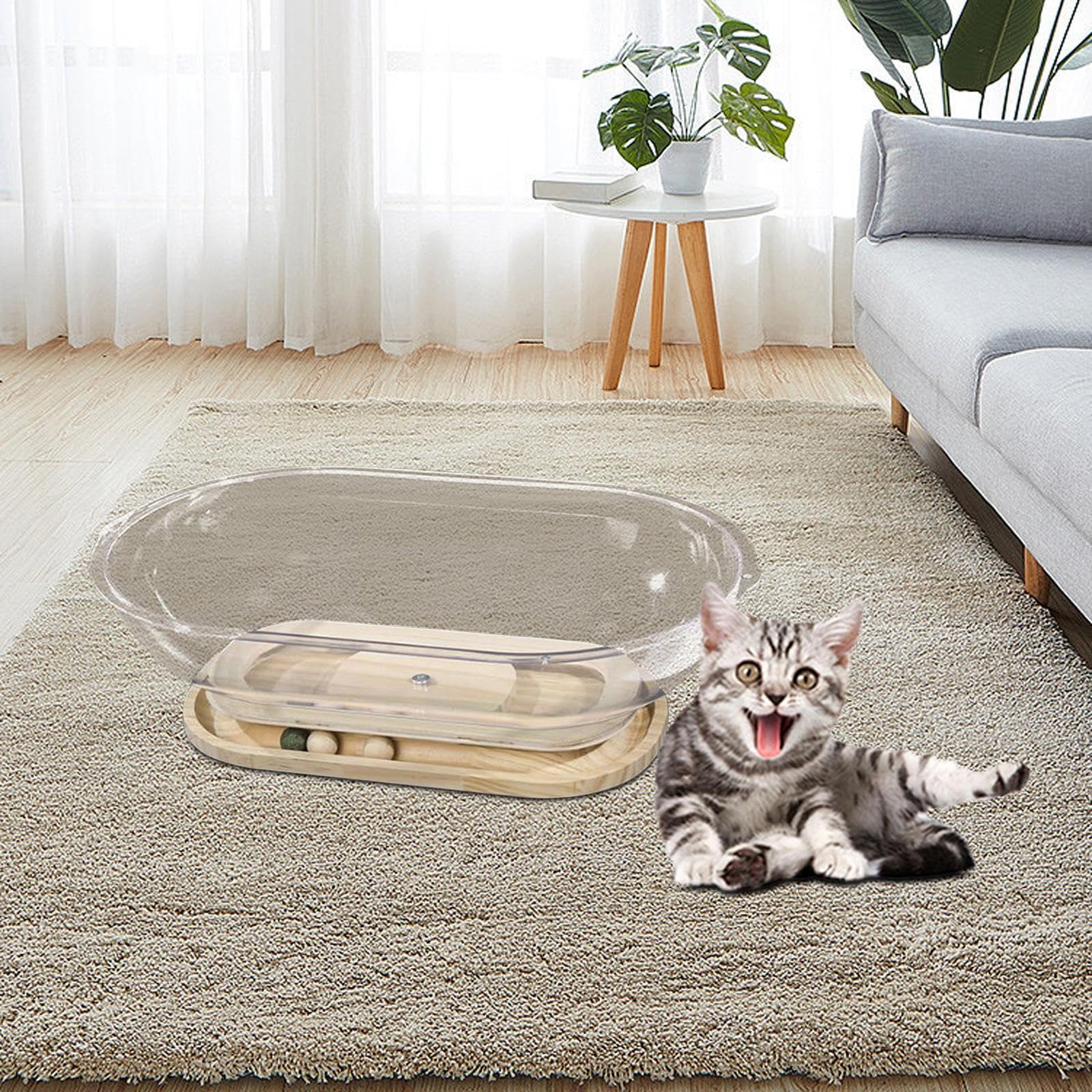 ネコベッド 宇宙船 ベッド Amazon co jp 2024新登場 猫 ベッド 猫 