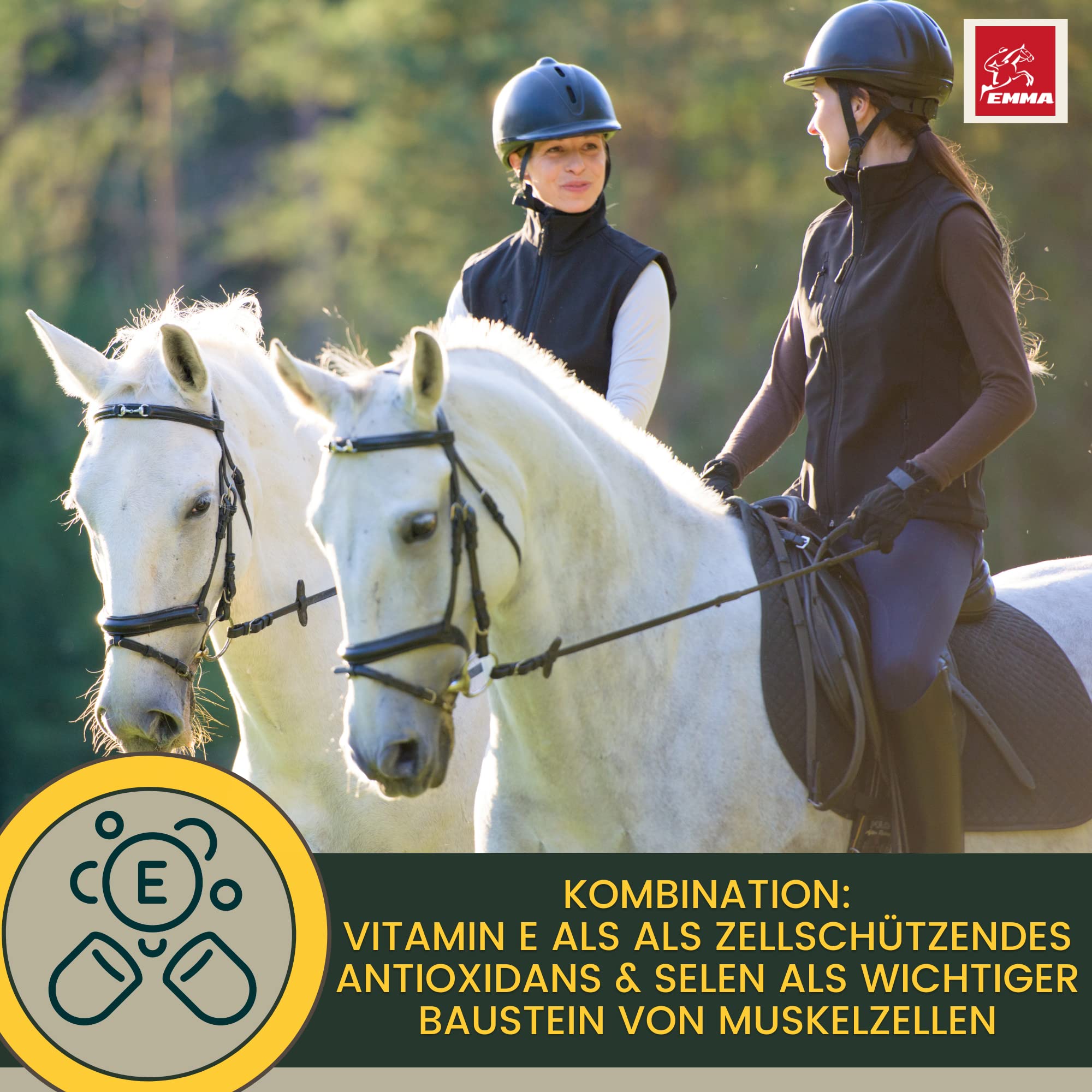 Aliments minéraux pour Chevaux I Biotine avec Sélénium et Zinc I Complément Alimentaire de Vitamine I multivitamines et minéraux I Sélénium Vitamine D A C B12 I Magnésium Cheval Vitamine E Cheval 5Kg