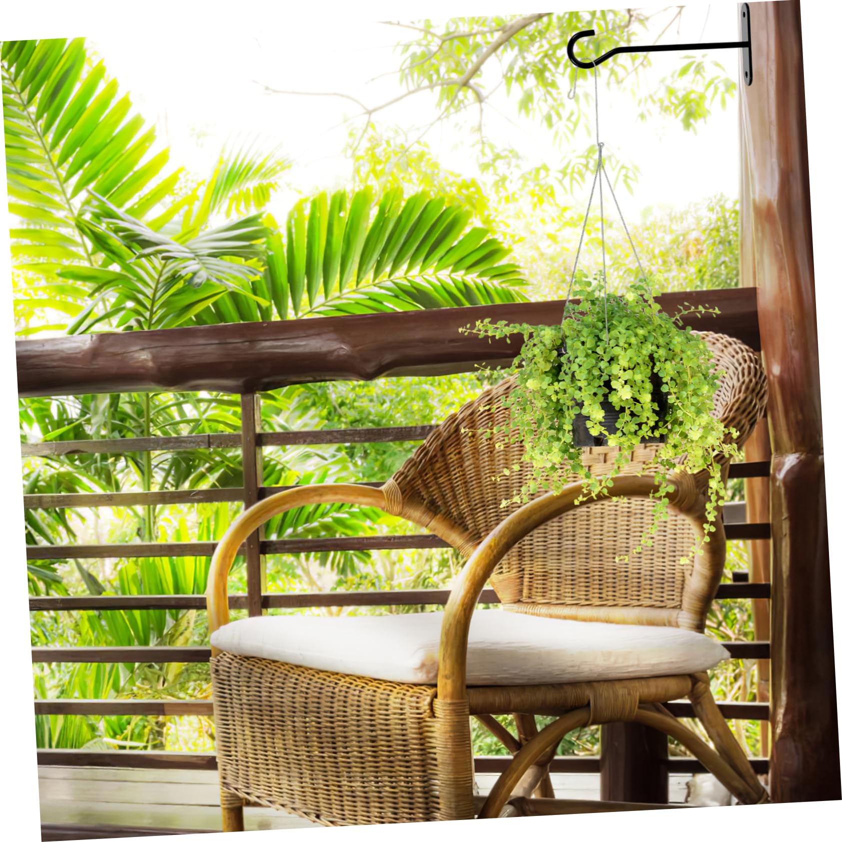 LIOOBO 8 Ensembles Crochets de Plafond pour Plantes de Crochets Suspendus Accessoires de Décoration Intérieure Extérieure pour Pots de Fleurs Plantes Suspendues