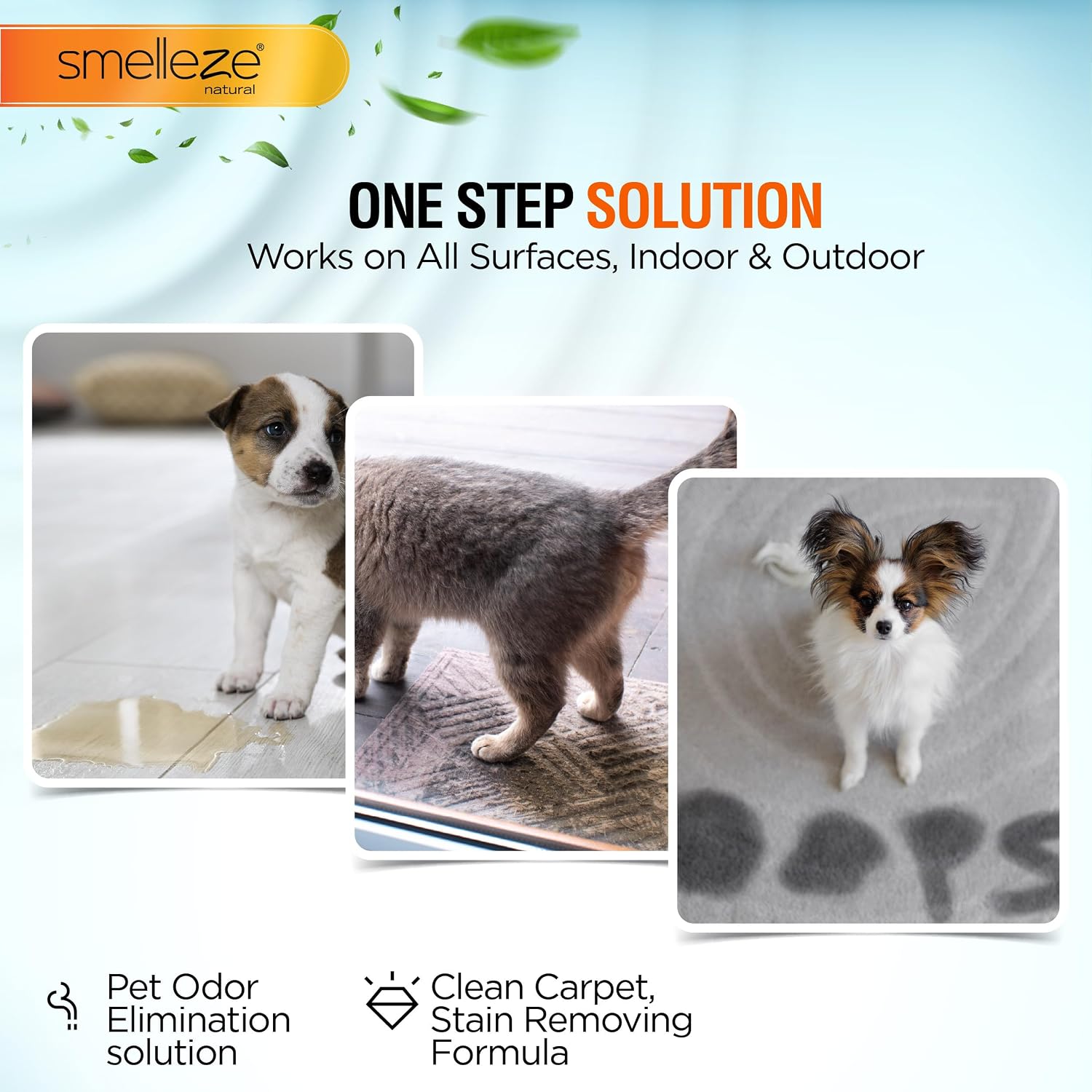 SMELLEZE Pet Pee Powder, 2 lb