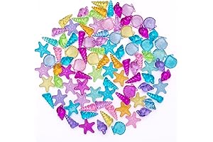 Colorful Plastic Gem Sea Shell Toys, Discover the Enchanting Treasures of the Sea
