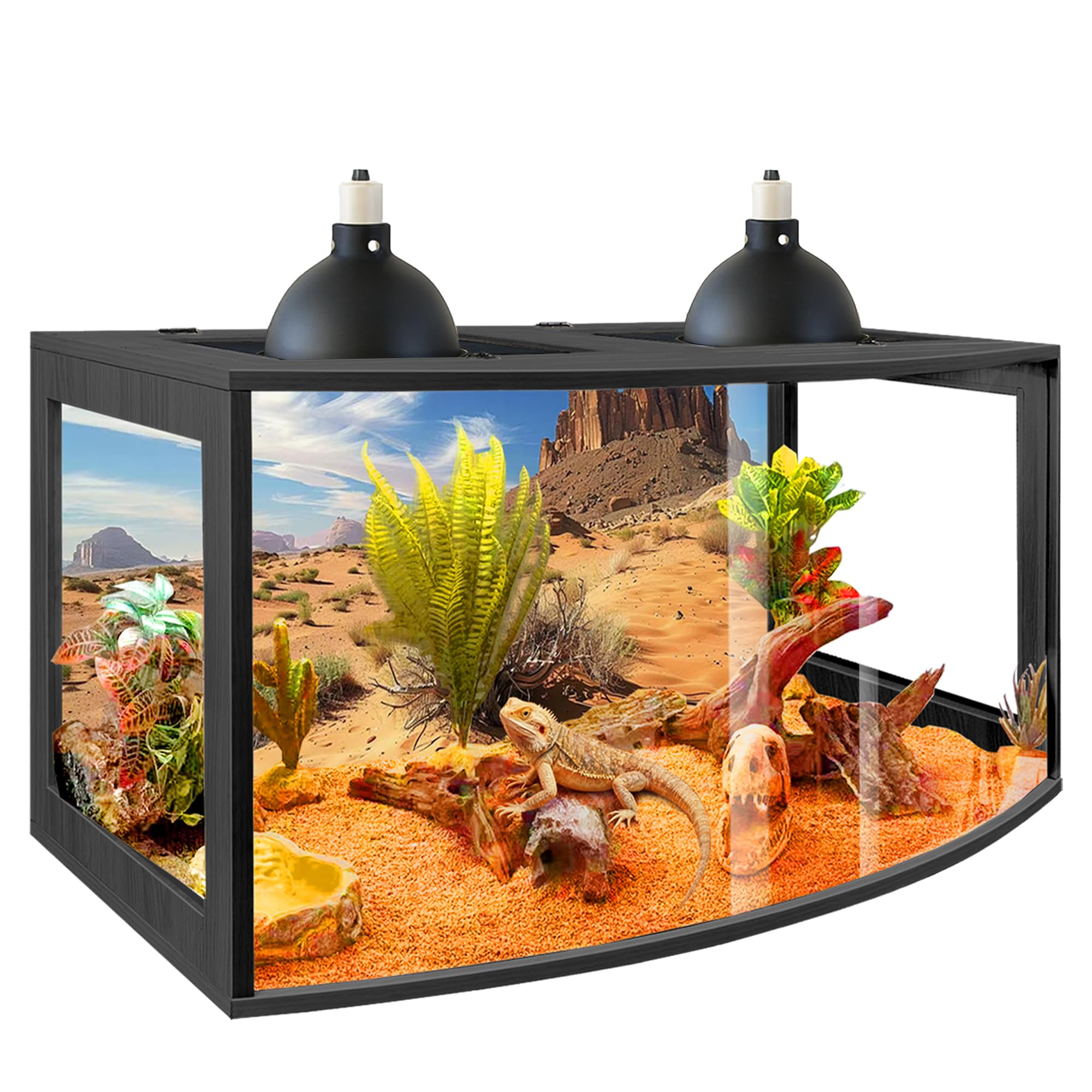 PROLEE Bearded Dragon Tank, Curved Reptile Enclosure with 3-Side Clear Acrylic Panels, Spacious Lizard Tank with Metal Mesh Top and Lockable Door for Reptile Habitat (Black, 24" Length,24 Gallons)