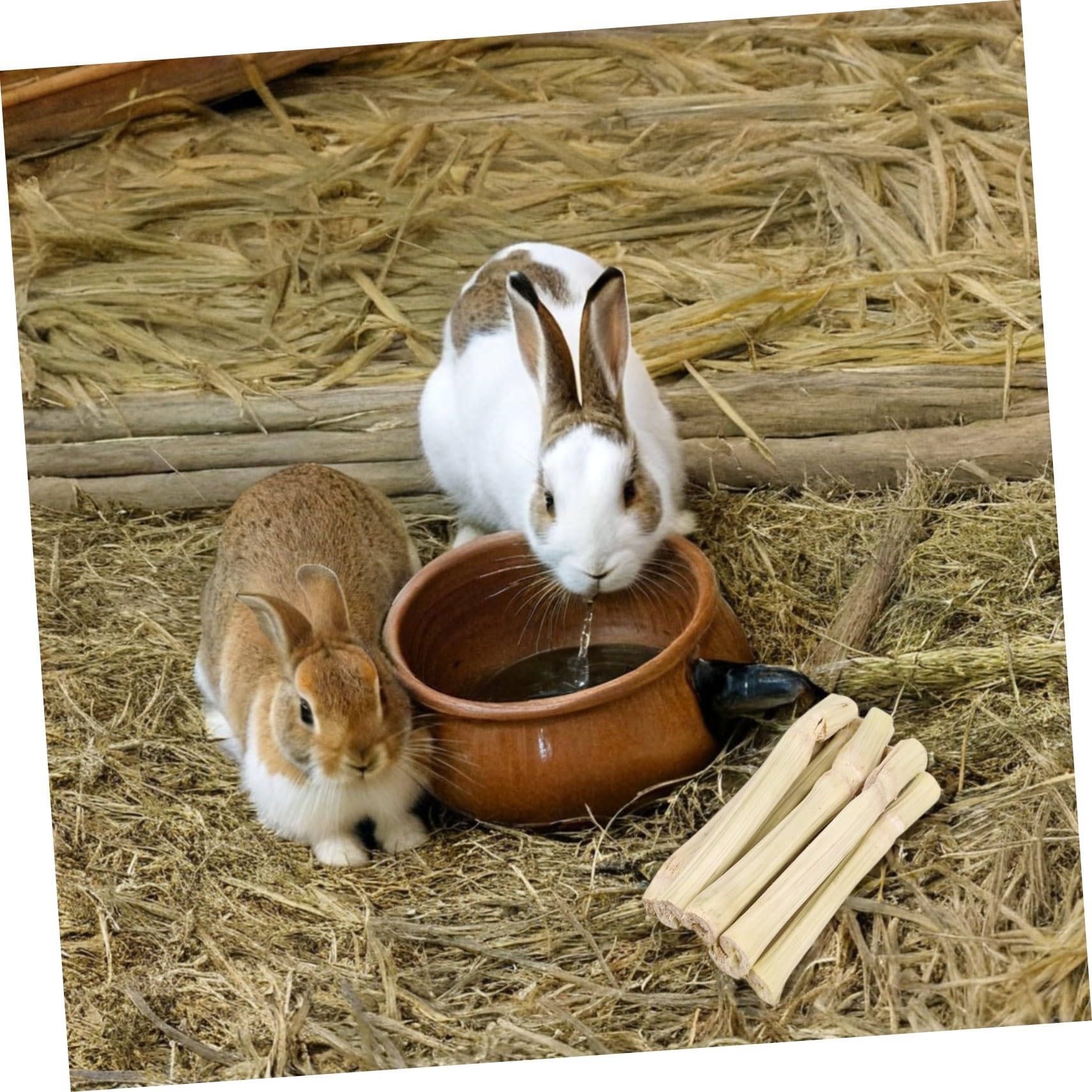 TOYANDONA Varillas de Bambú para Roedores Juguetes Naturales para Morder Conejos Chinchillas Hámsteres y Pequeñas Mascotas Snacks Artesanales para Cuidado Dental