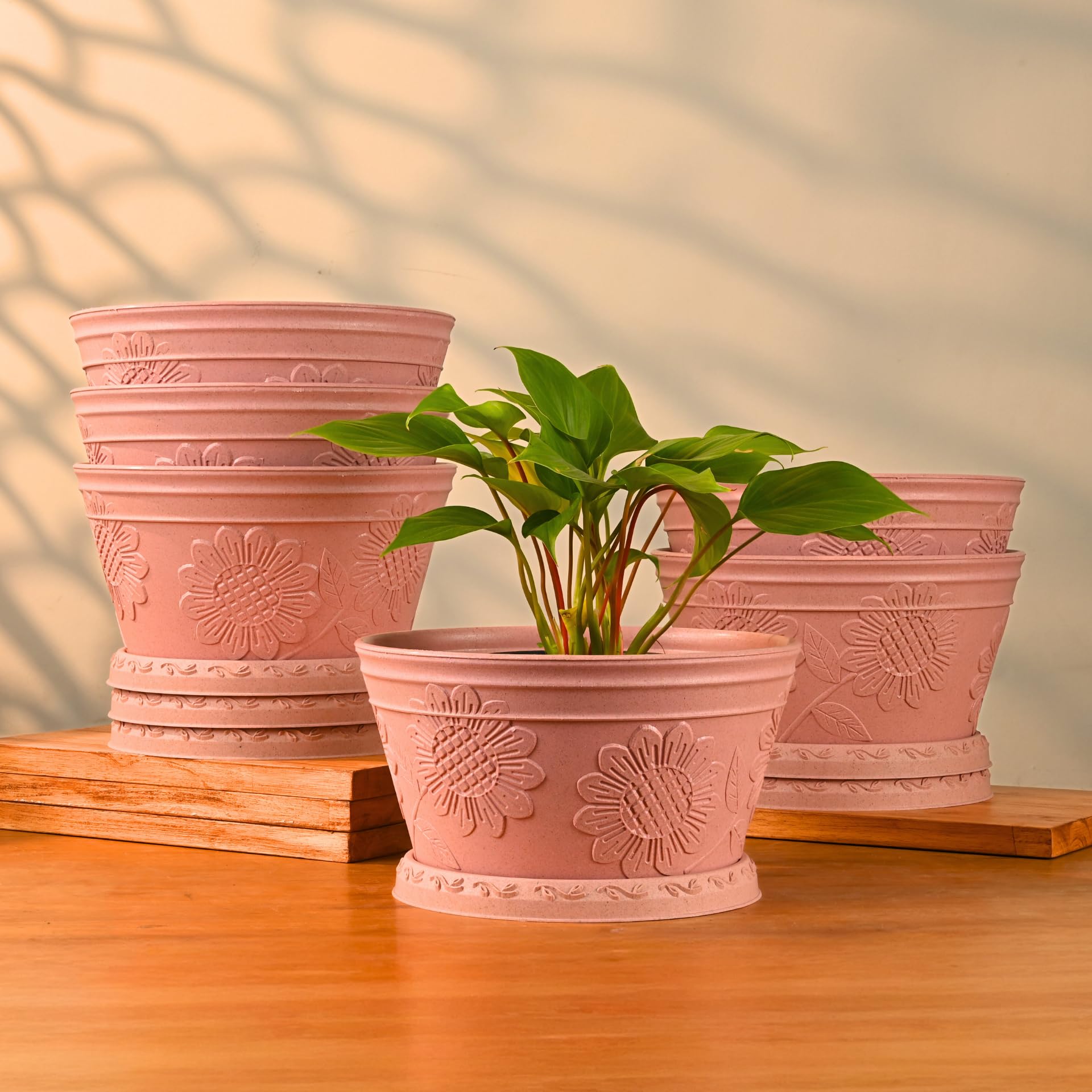 Eha Nile Planters: Sustainable Bamboo Planters -14