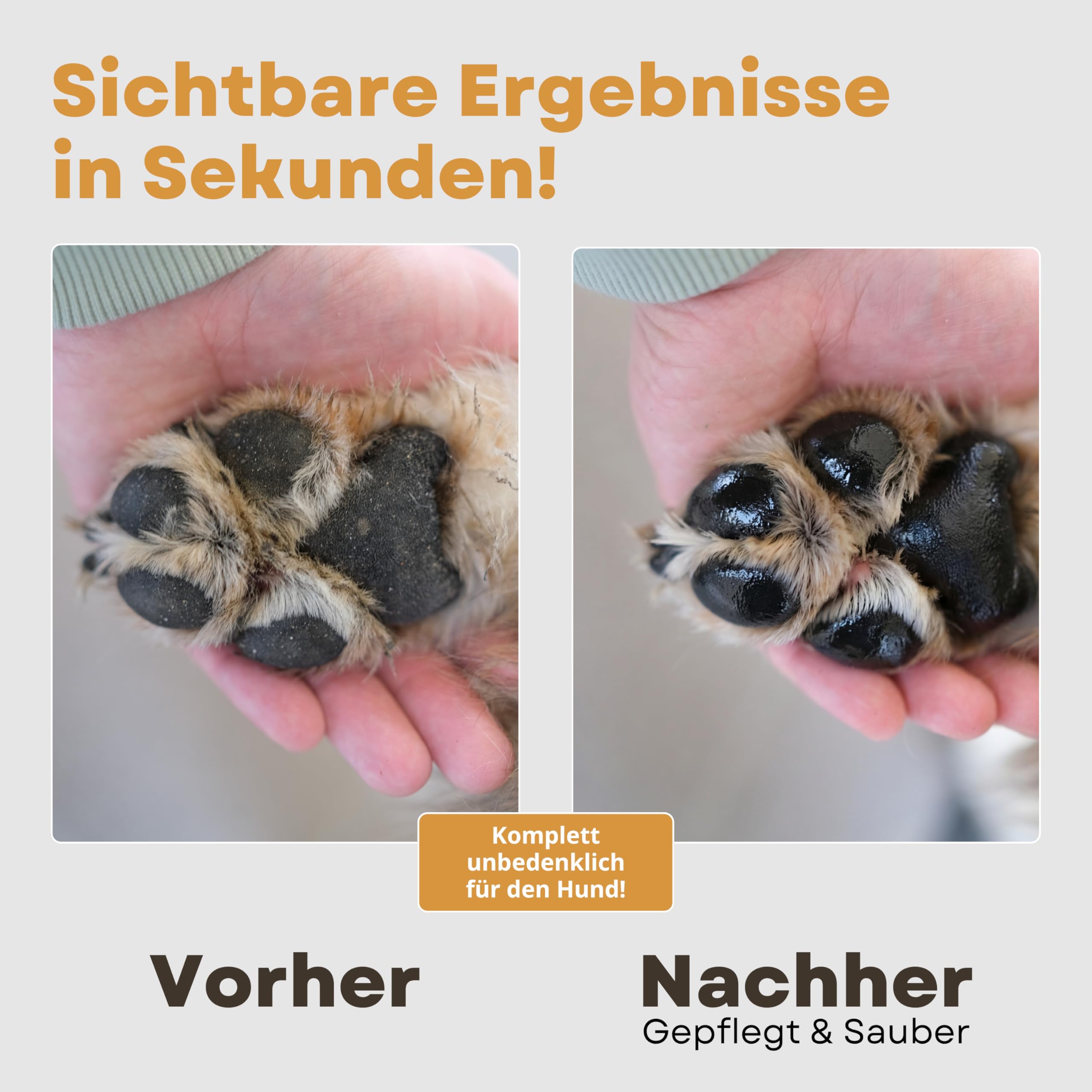 XXL Bundle Pfotenpflege und Fellpflege Set für Hunde - Pfotenreiniger 150ml mit Bürste - Pfotenbalsam und Nasenbalsam - Trockenshampoo Schaum - Hundeshampoo 200ml - Hundekamm für Langhaar