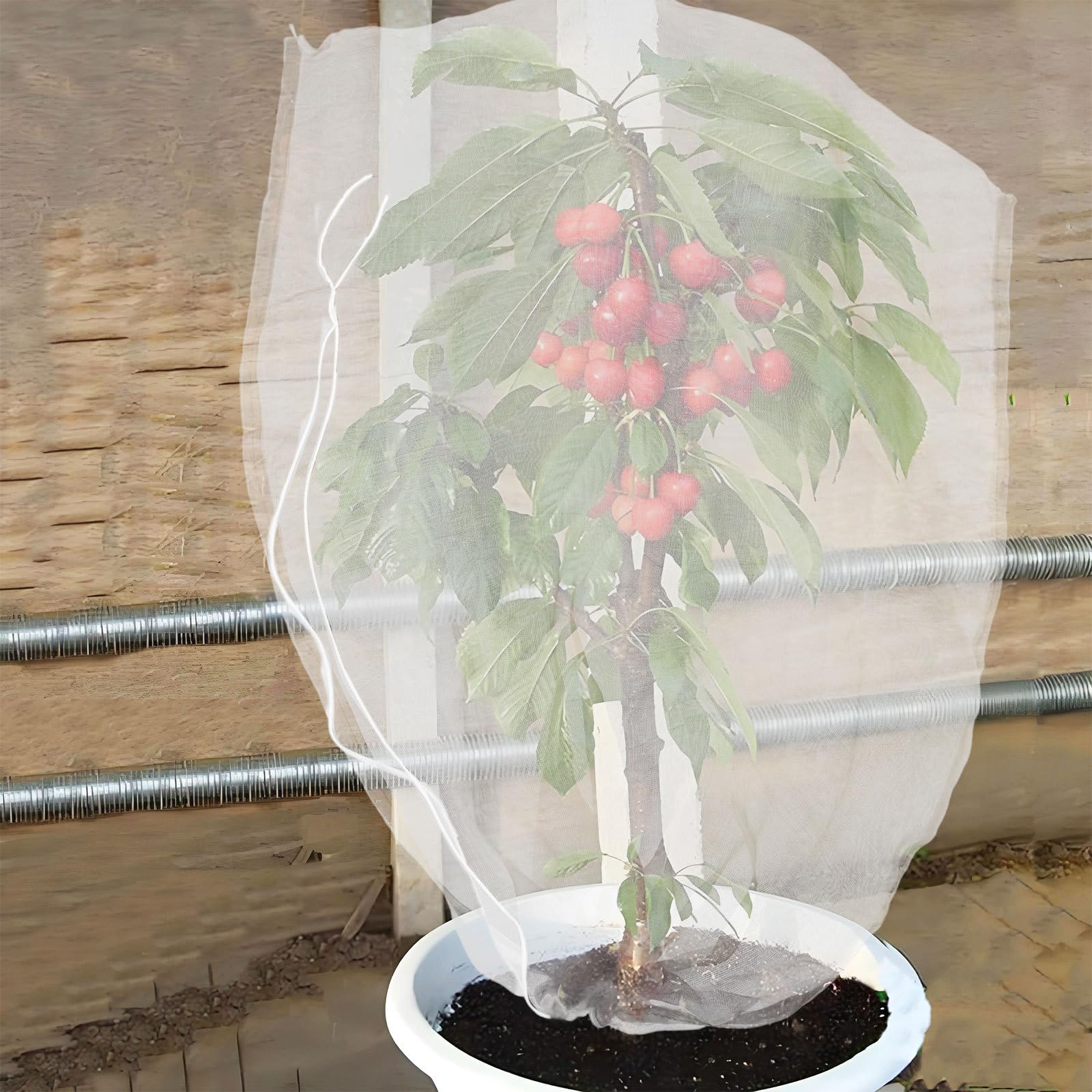 Gatuida Filets de Jardin Anti-Insectes 8 Pièces en Nylon Blanc